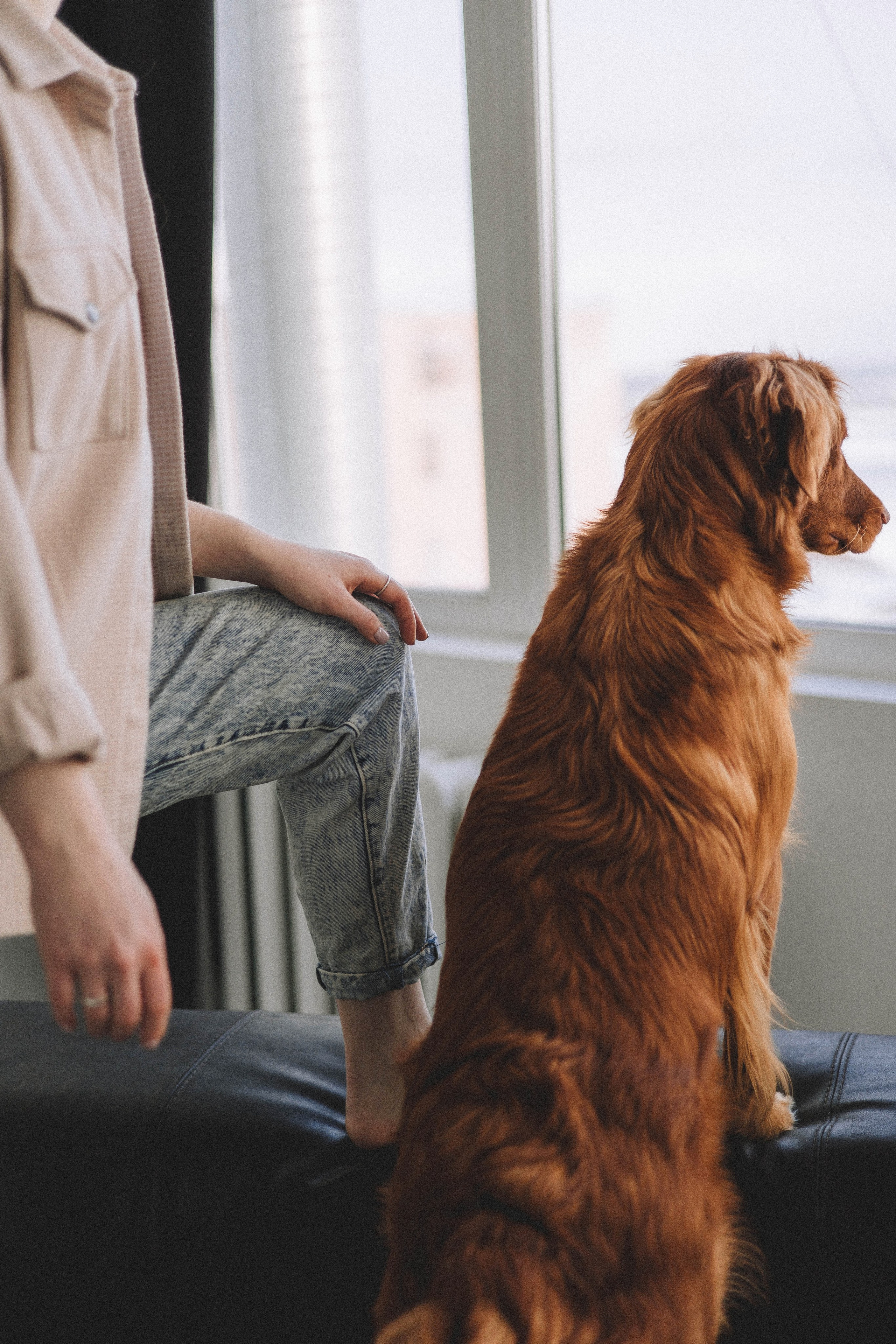 Аня и Лея. Фотограф-анималист Богданова Полина