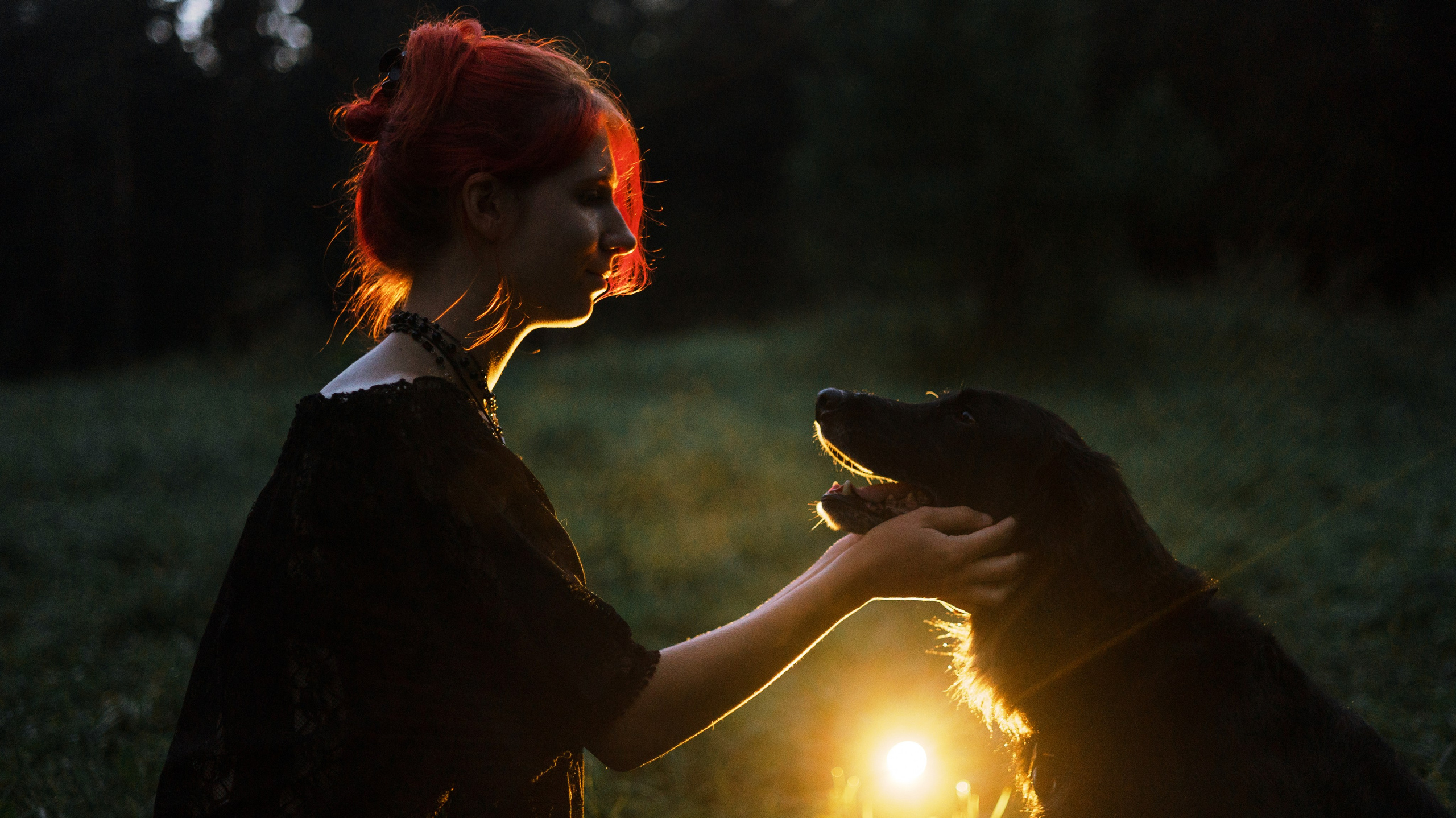 Лиза и Коди. Фотограф-анималист Богданова Полина