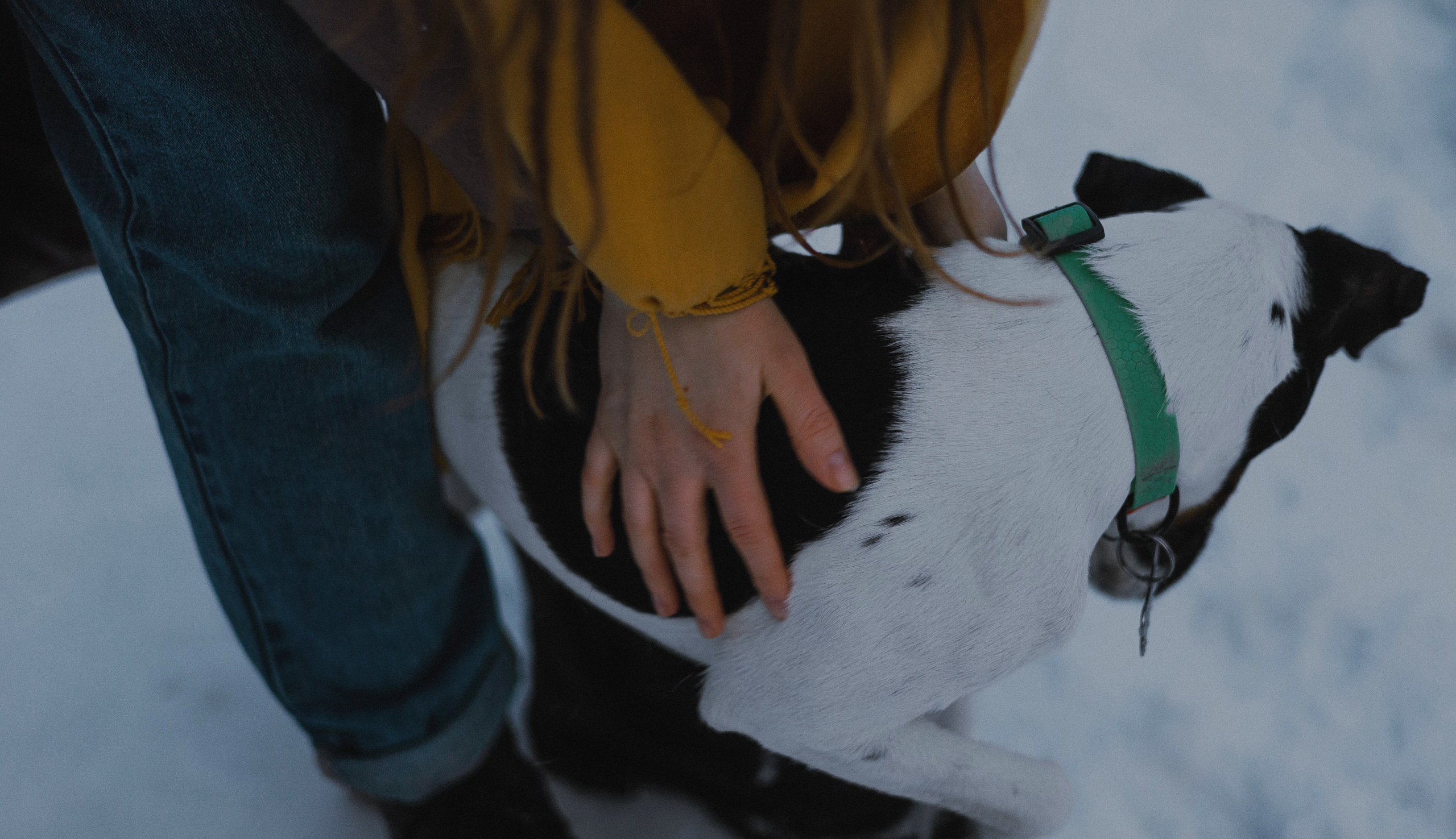 Ольга и Сэм. Фотограф-анималист Богданова Полина