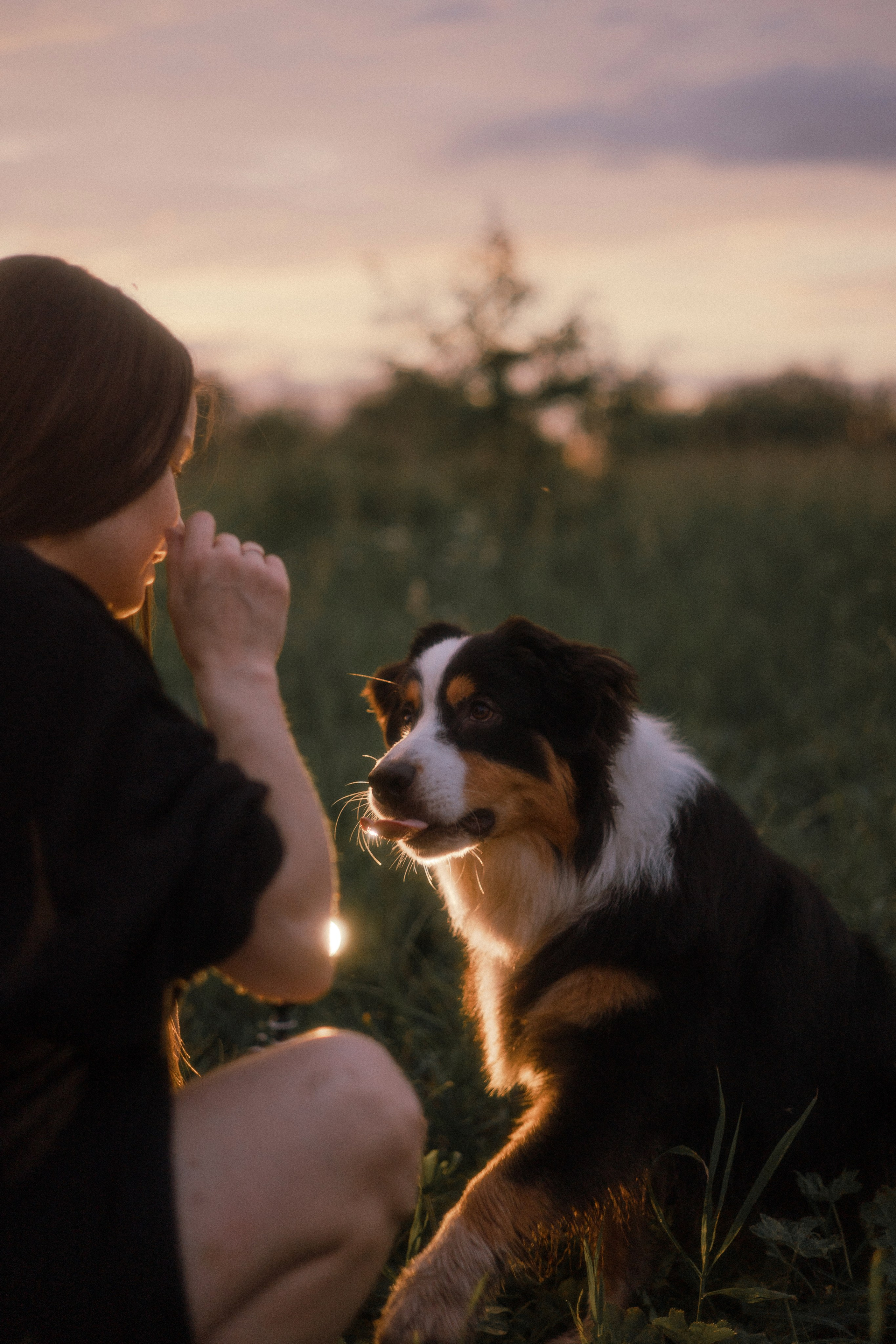 Яна и Уга. Фотограф-анималист Богданова Полина