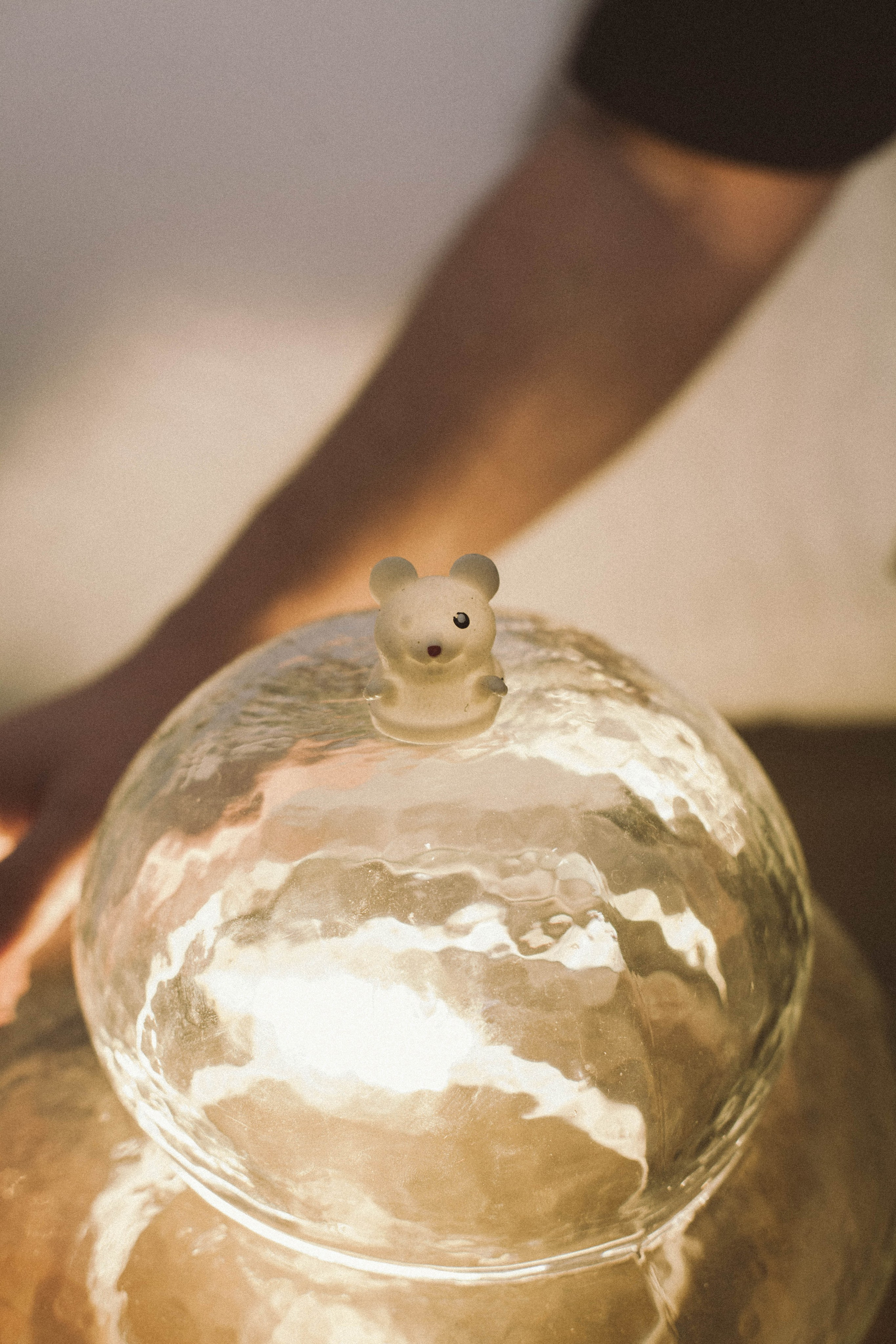 Семейные съемки