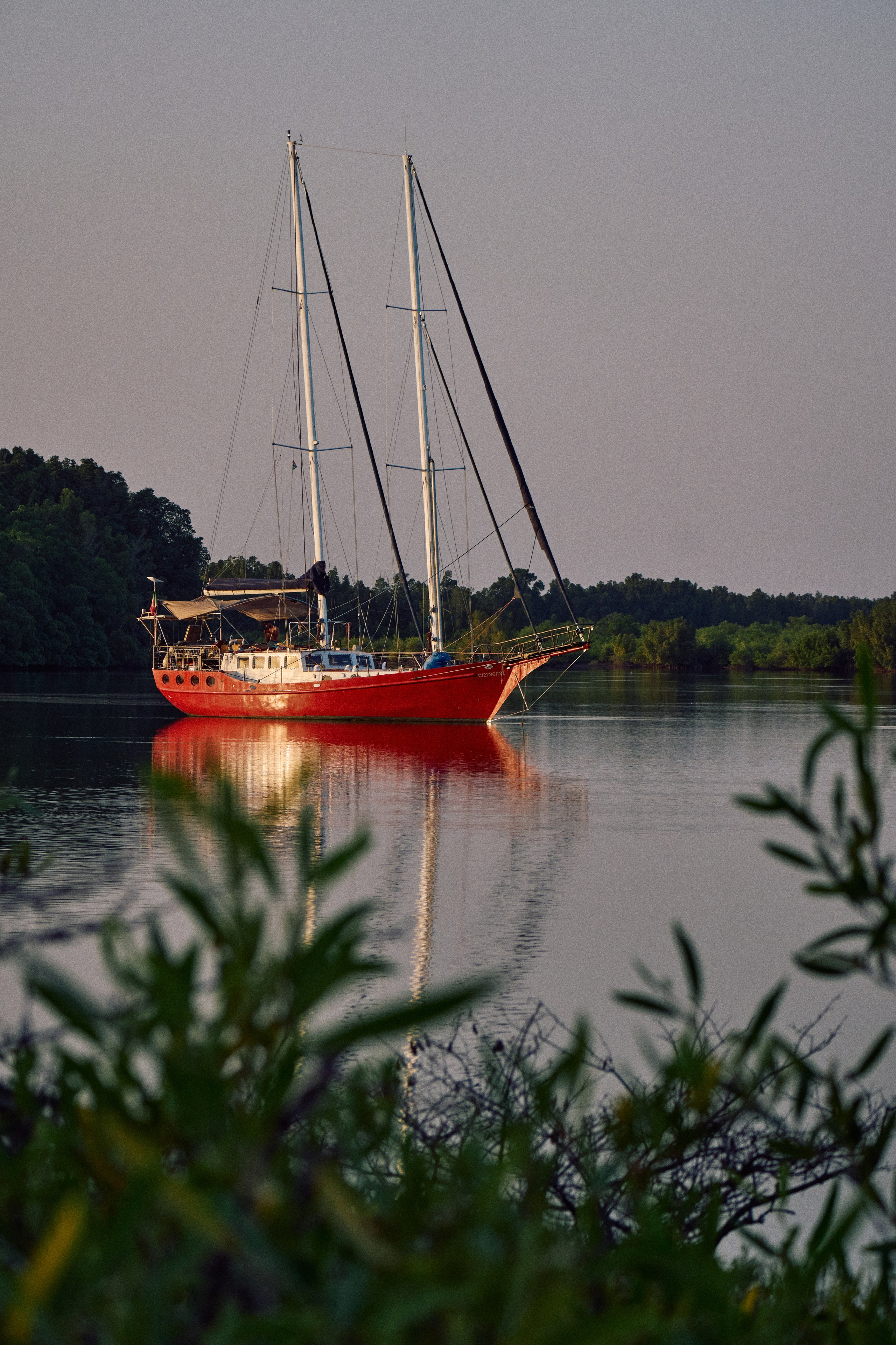 Gambia River. See the moment and catche. commercial and reportage