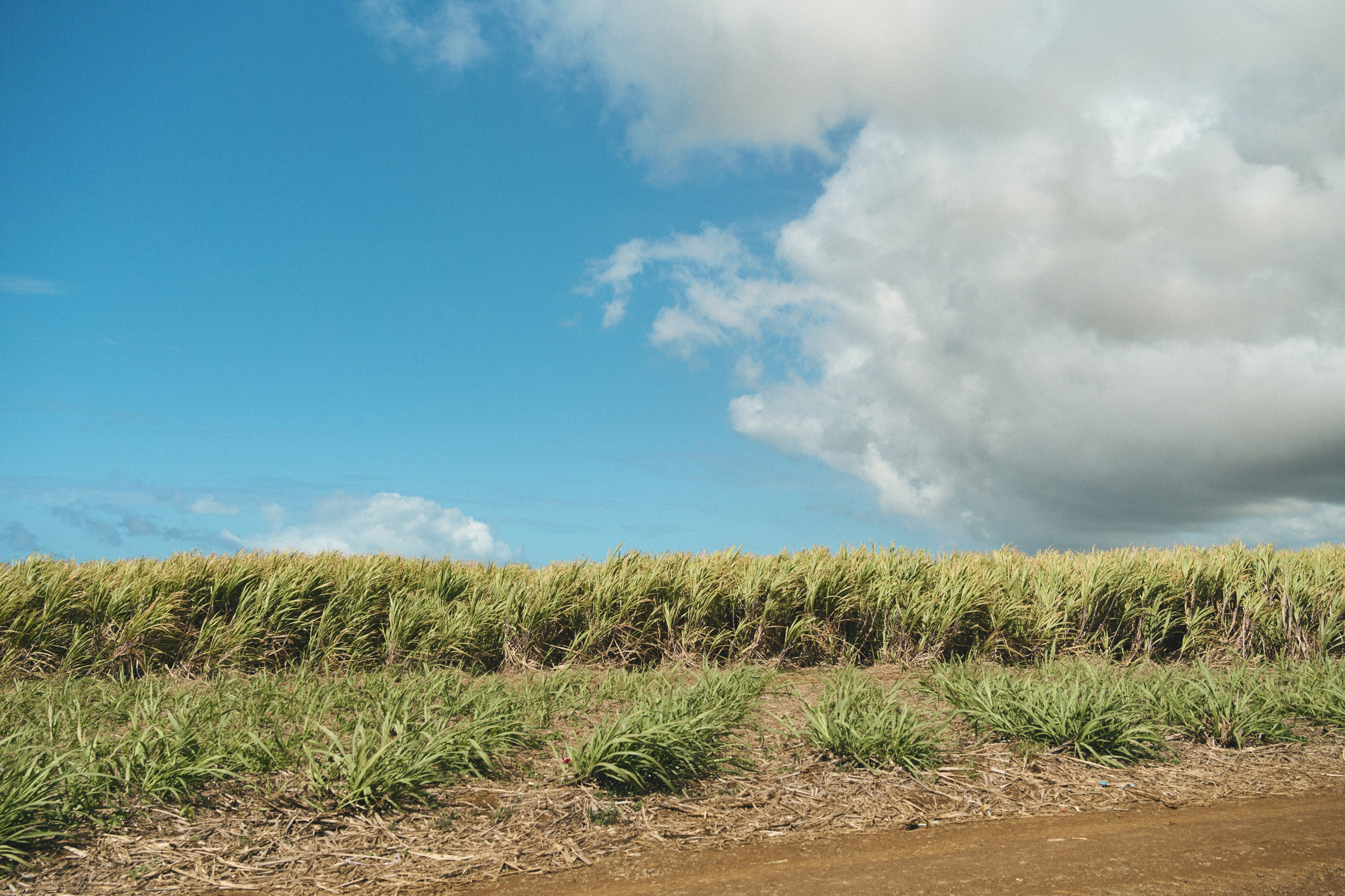 U Magazine x Выездная редакция. Фотограф Сурков Никита