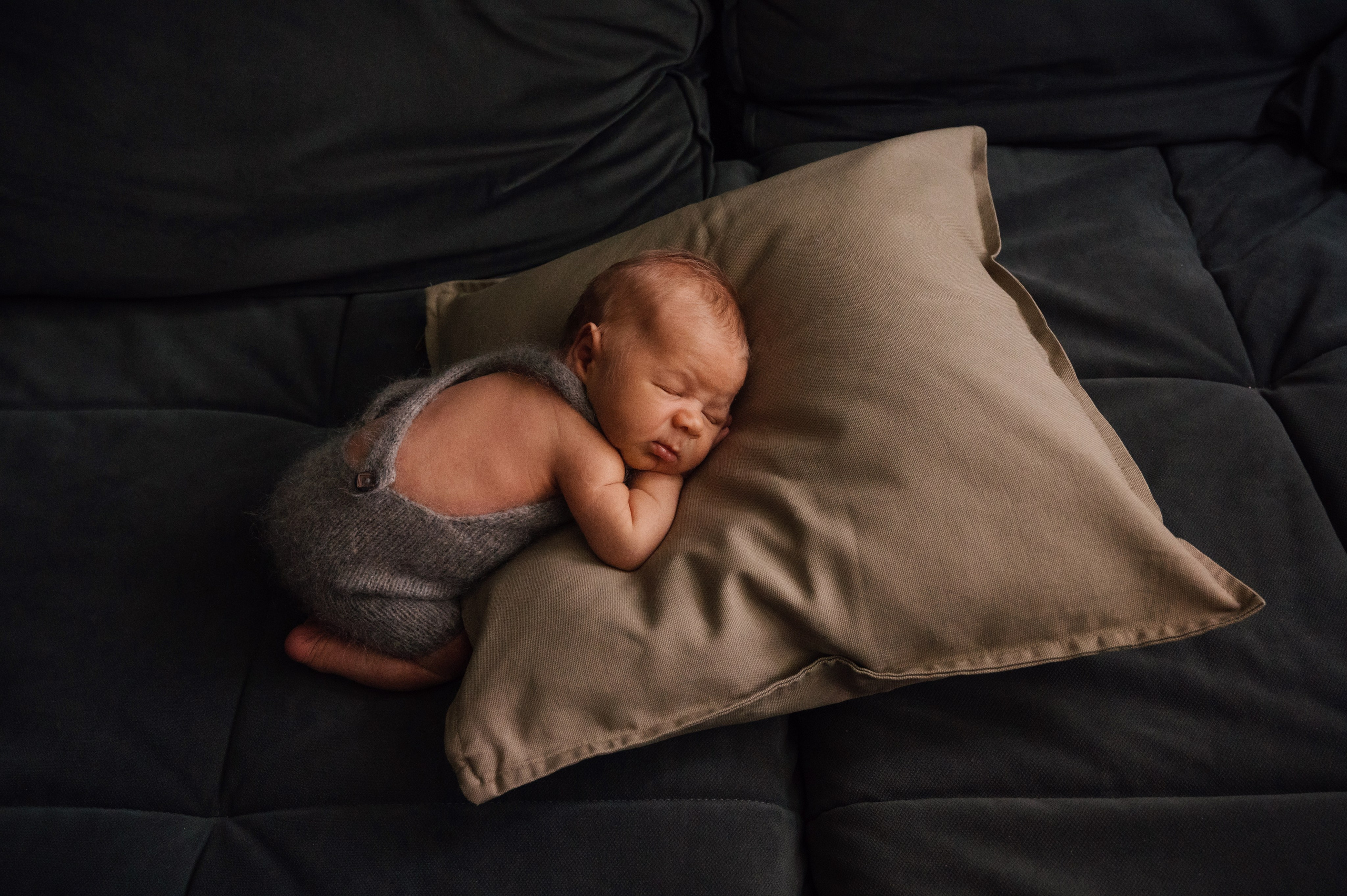 Newborn boy. Фотограф новорожденных малышей в Санкт-Петербурге