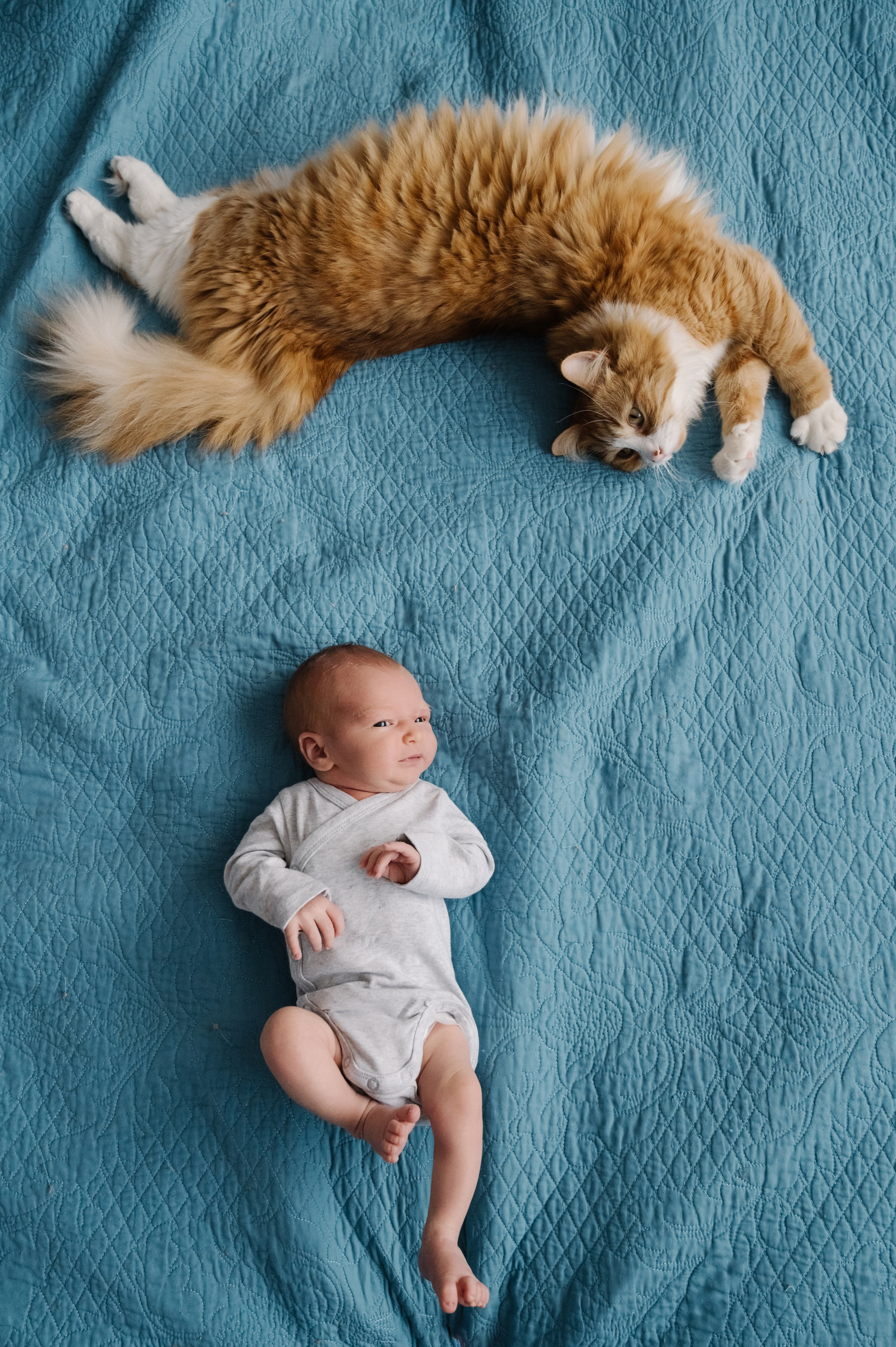 Серия с домашними животными. Фотограф новорожденных малышей в Санкт-Петербурге