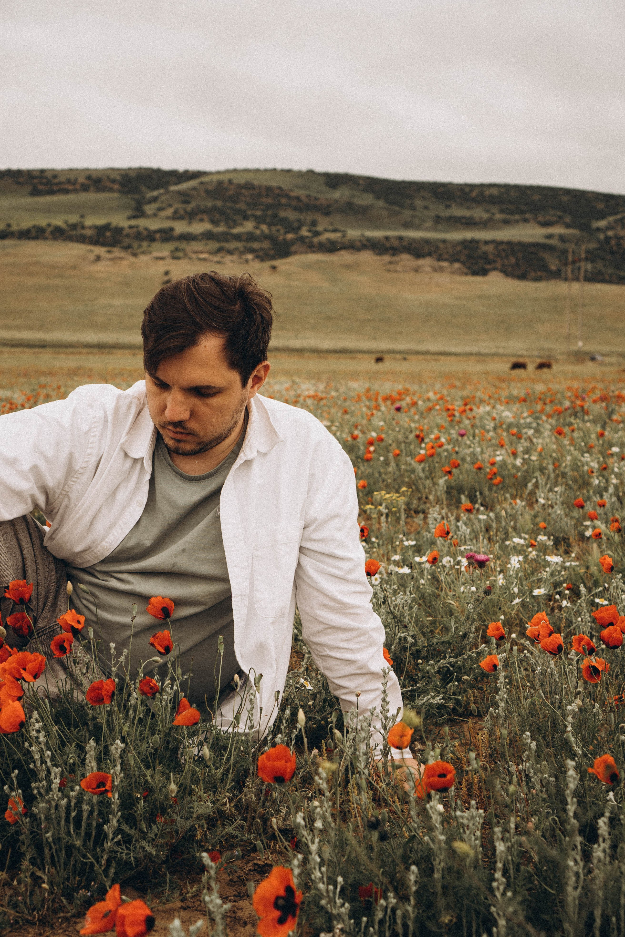 Маки. Профессиональный фотограф, Санкт-Петербург — Виктория Богомолова