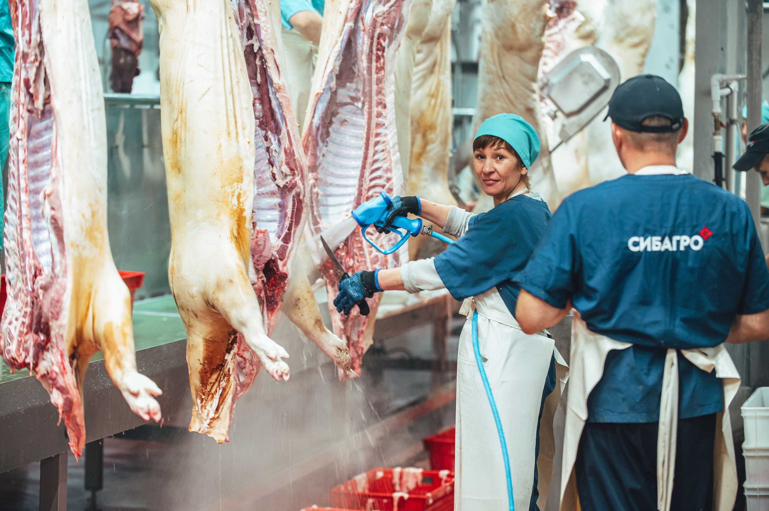 Свинокомплекс «СИБАГРО». Свадебная и концептуальная фотография в городе Улан-Удэ