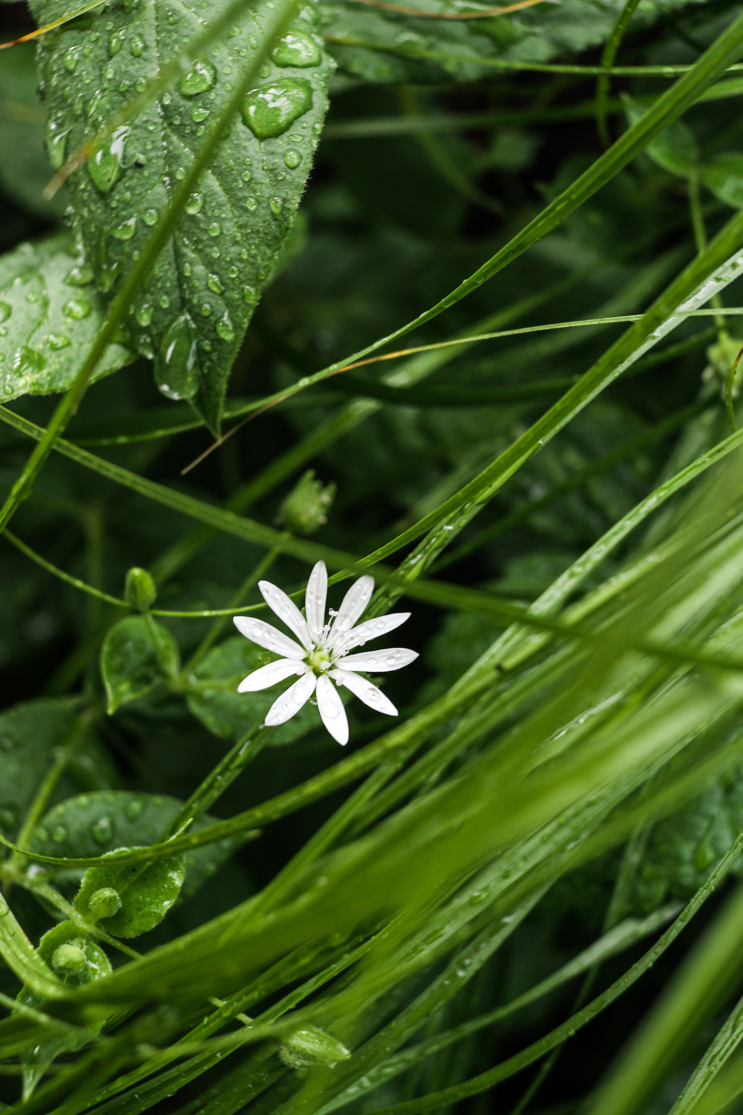 «Pinewood» парк-отель, респ. Алтай. Контент фотограф Дмитрий Борисов