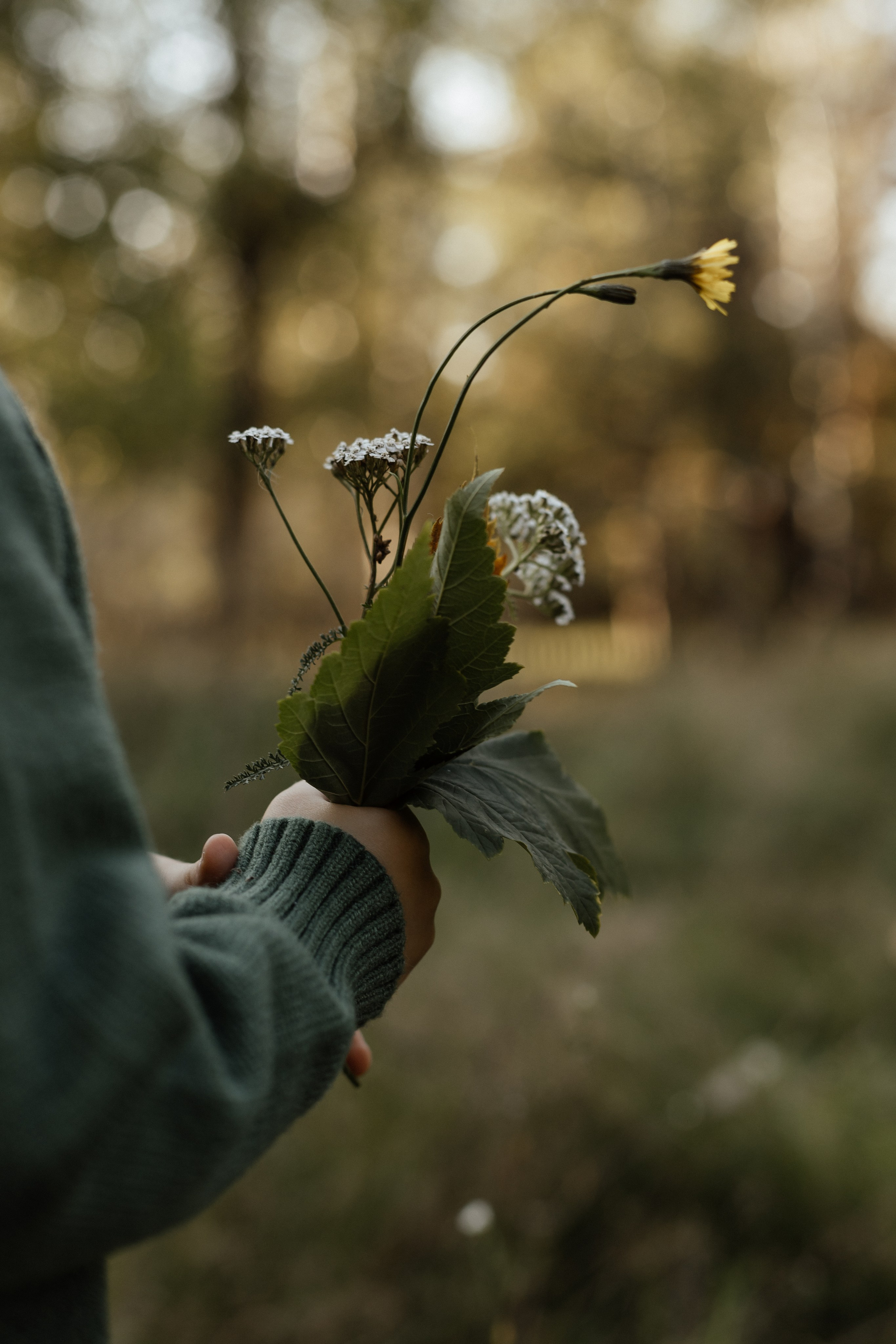 Прогулочная. Семейный фотограф в Нижнем Новгороде Куренкова Юлия