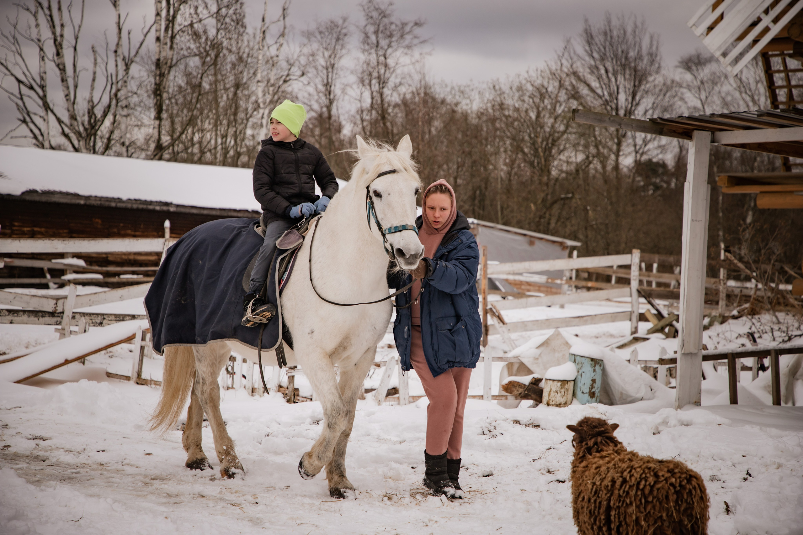 День Рождения в сказке. Фотограф Алексей Шуля — портфолио