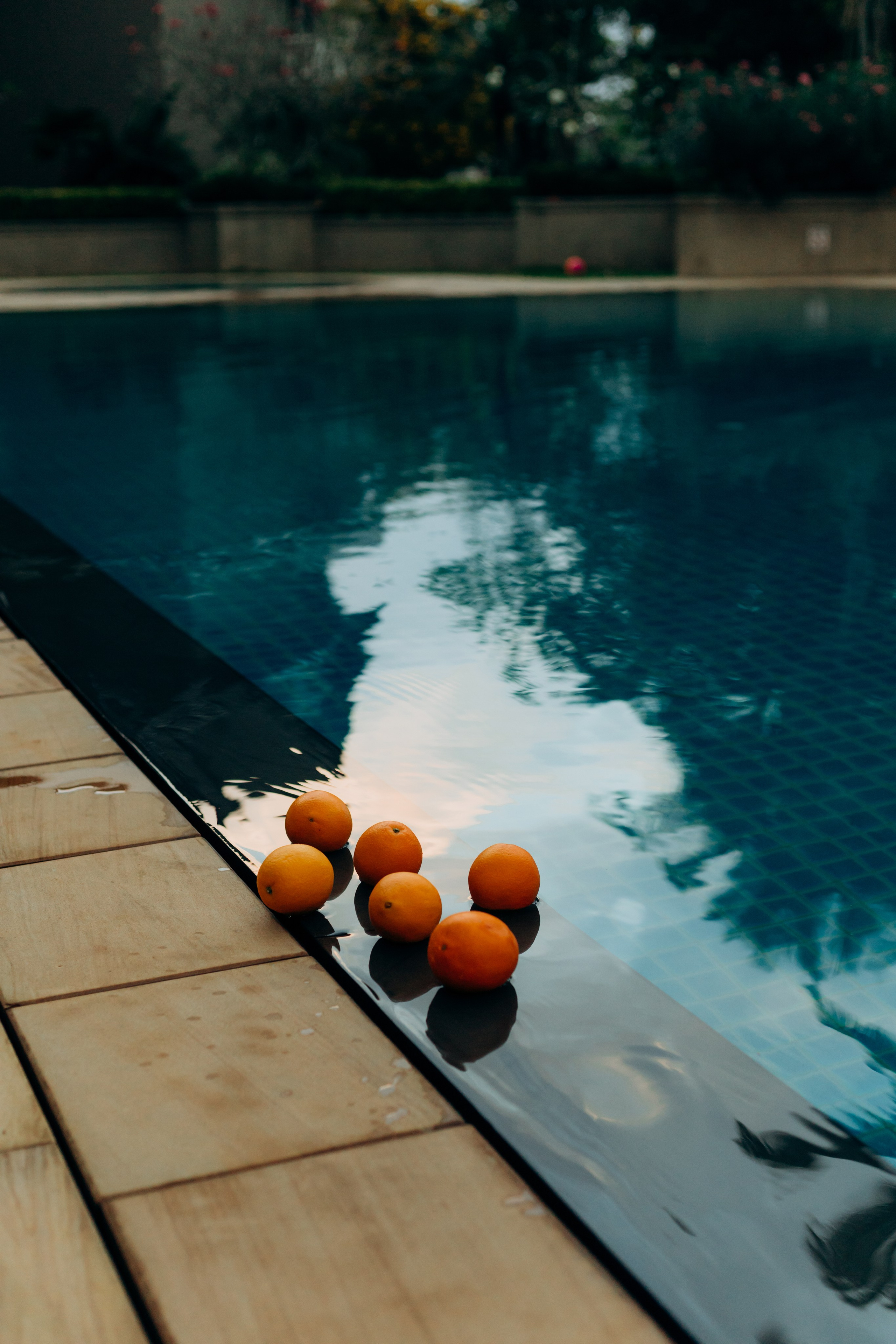 Дарья. Нутрициолог. Фотограф Карина Вовк