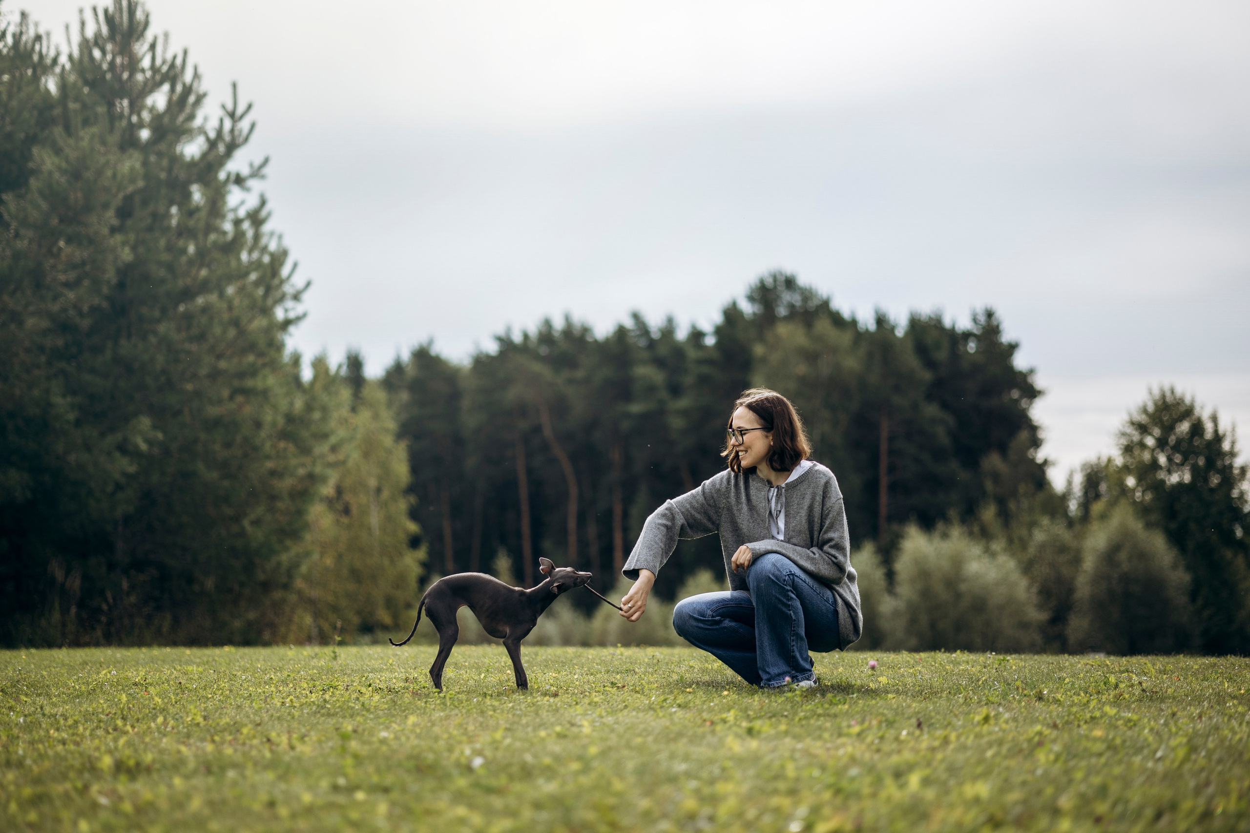 Лучик и ее семья. Фотограф — Анималист | Санкт-Петербург