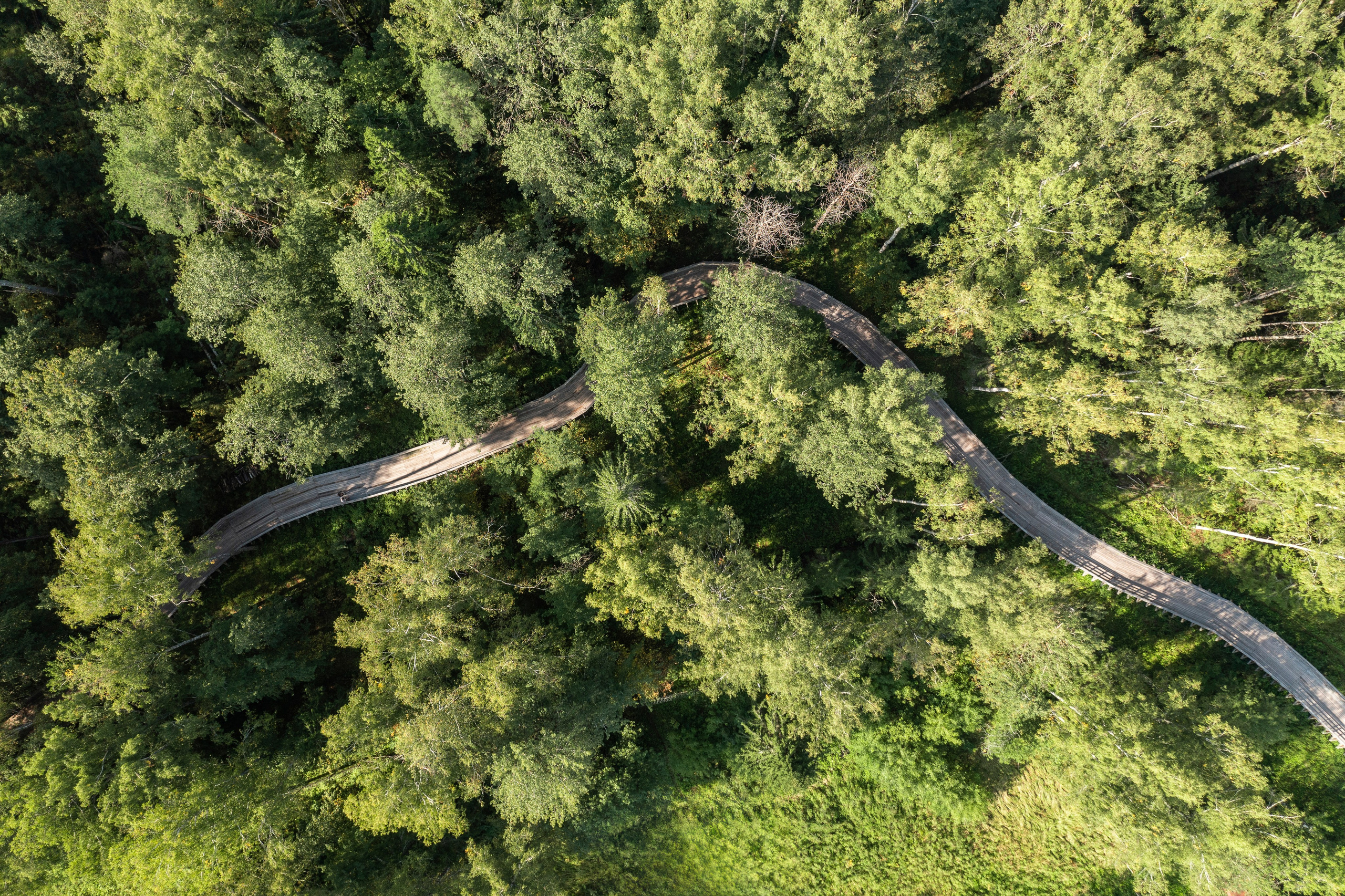 VELO1. Артамонов Александр | Архитектурный и ландшафтный фотограф