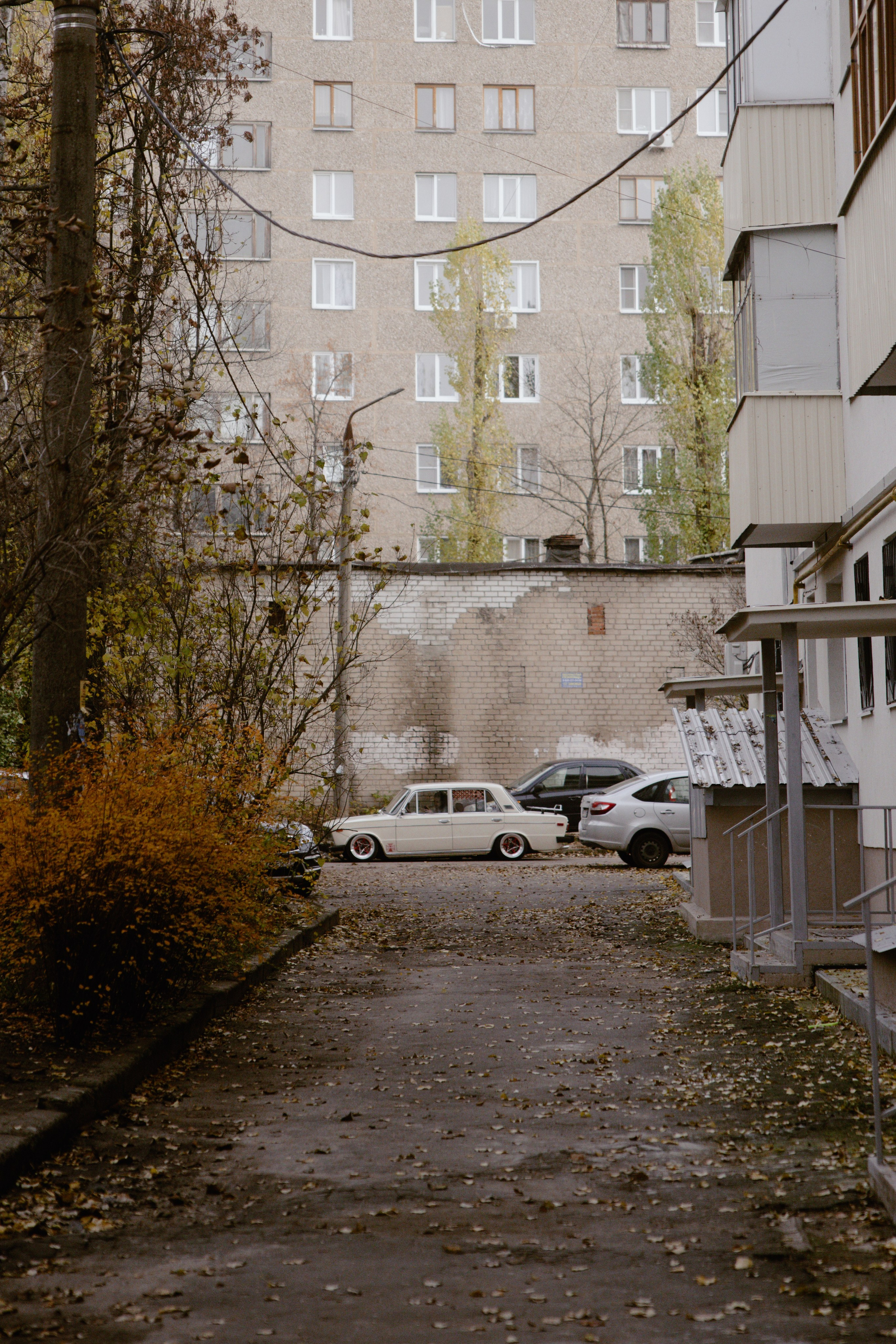 Punk. Свадебный фотограф / Reels Нижний Новгород Татьяна Красильникова