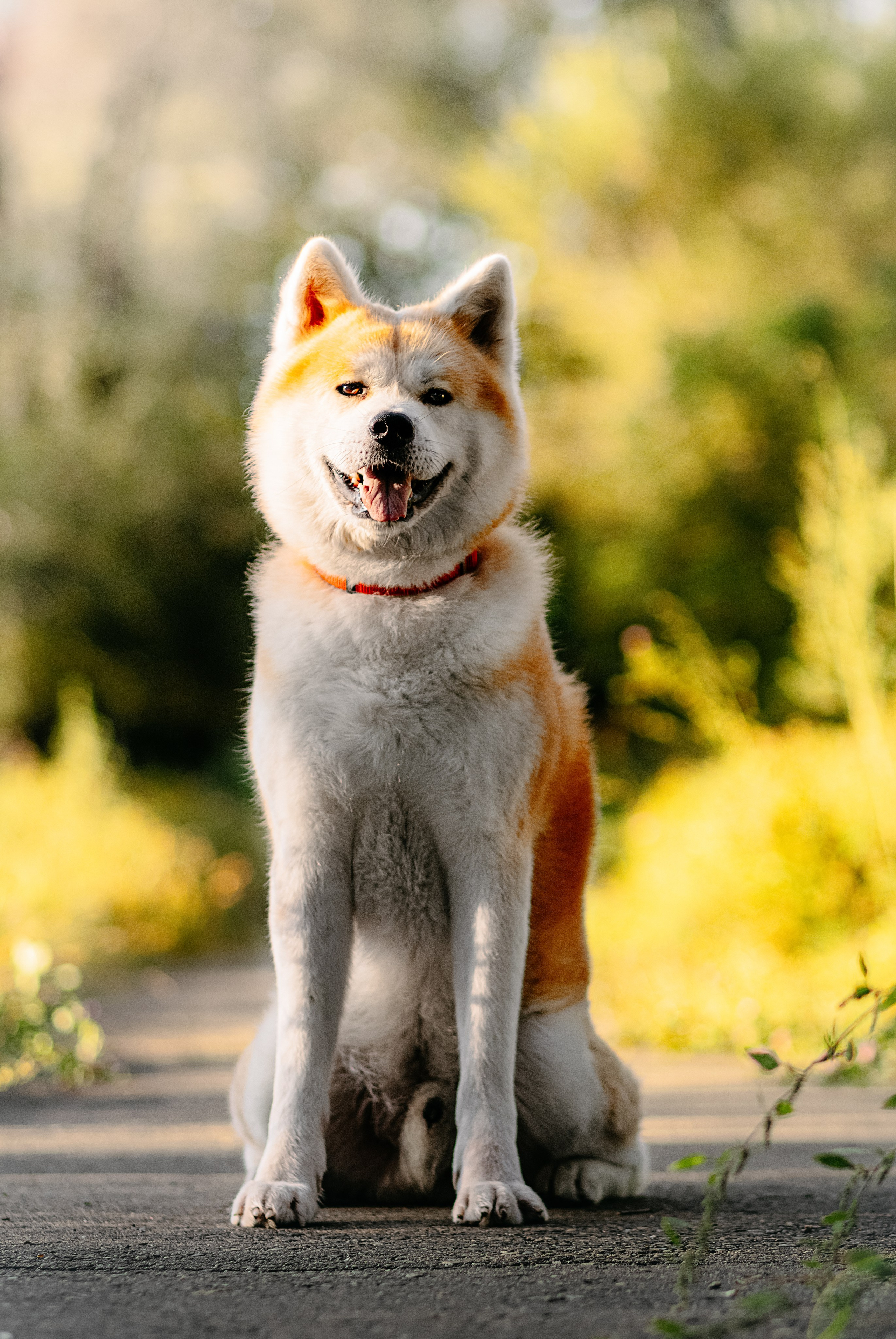 Вальтер. Фотограф в Арсеньеве