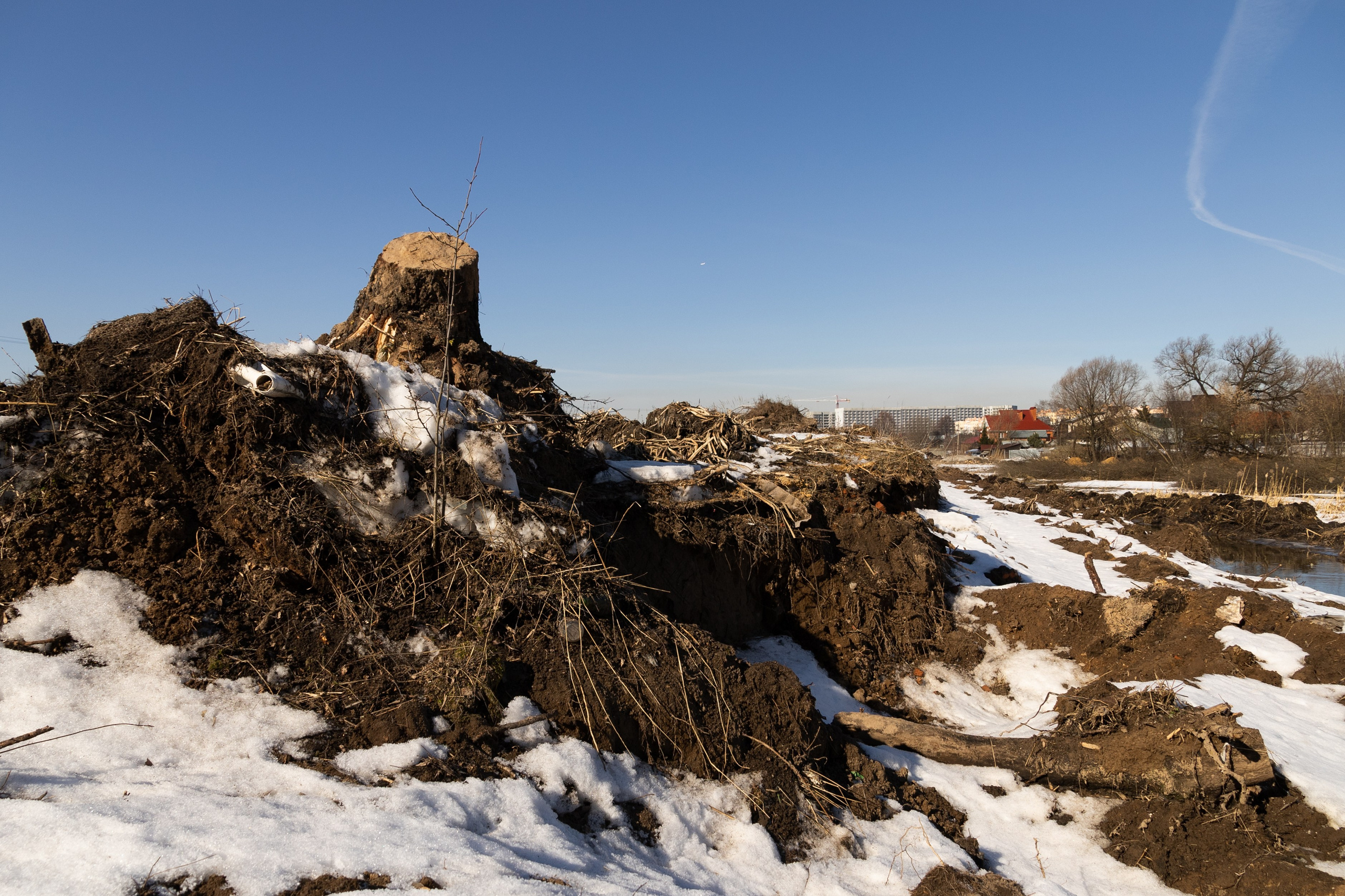 Я здесь живу. DASHA KALNINA