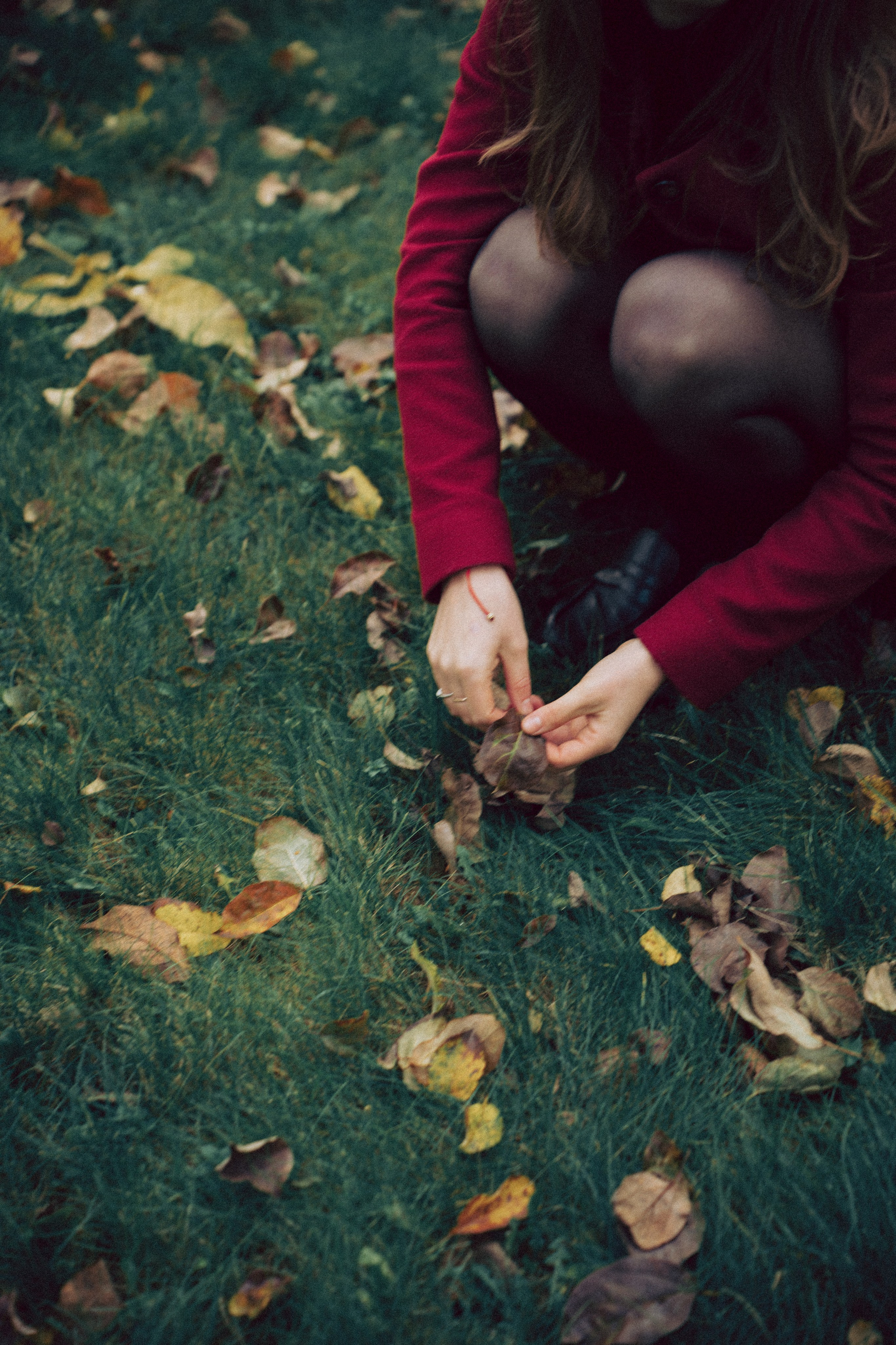 Галки, ветки и любовь. Фотограф Москва Селюкова Юлия