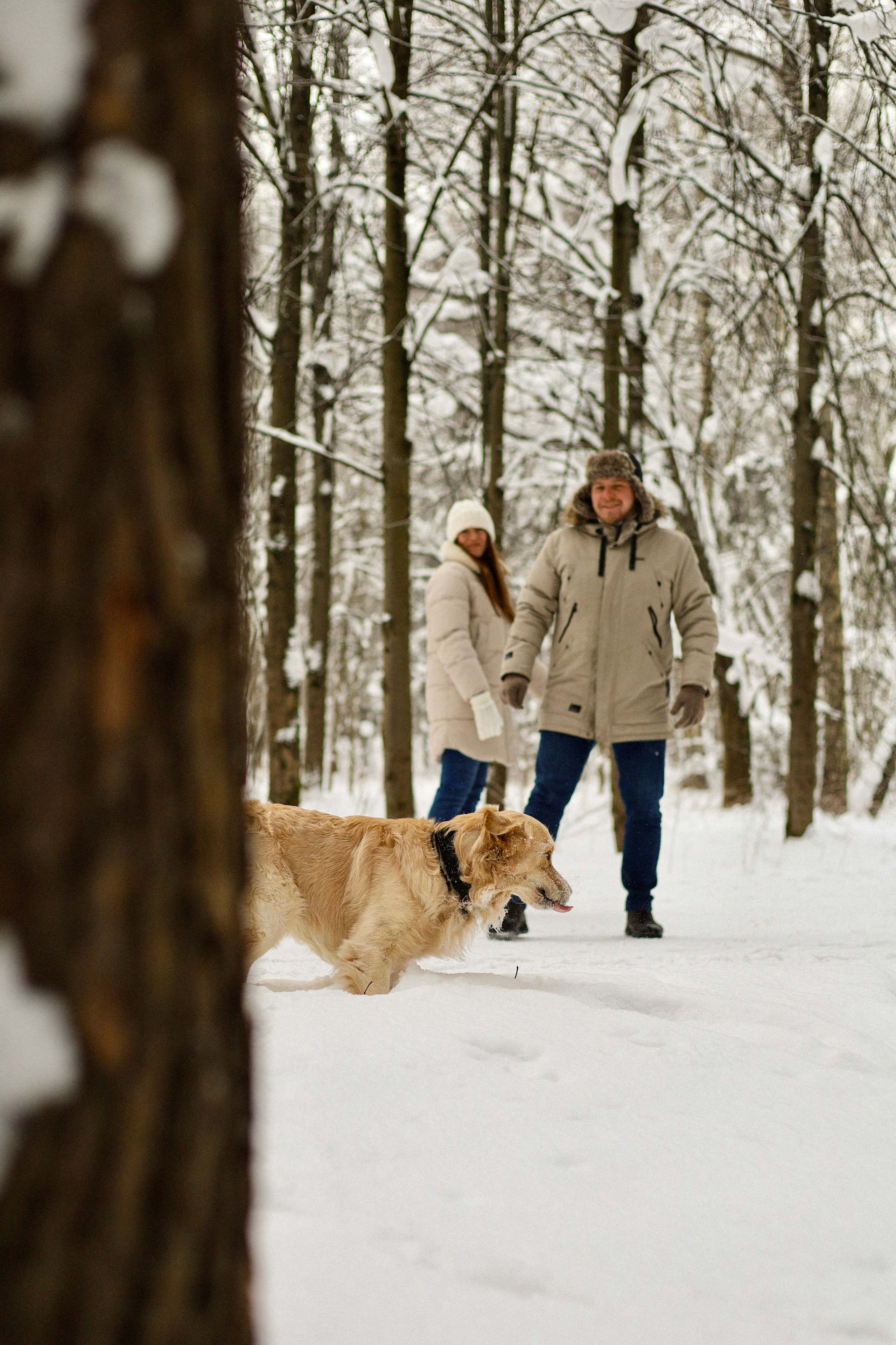 Стивен, Лена и Миша. Фотограф-анималист Ксения Шевцова|Москва