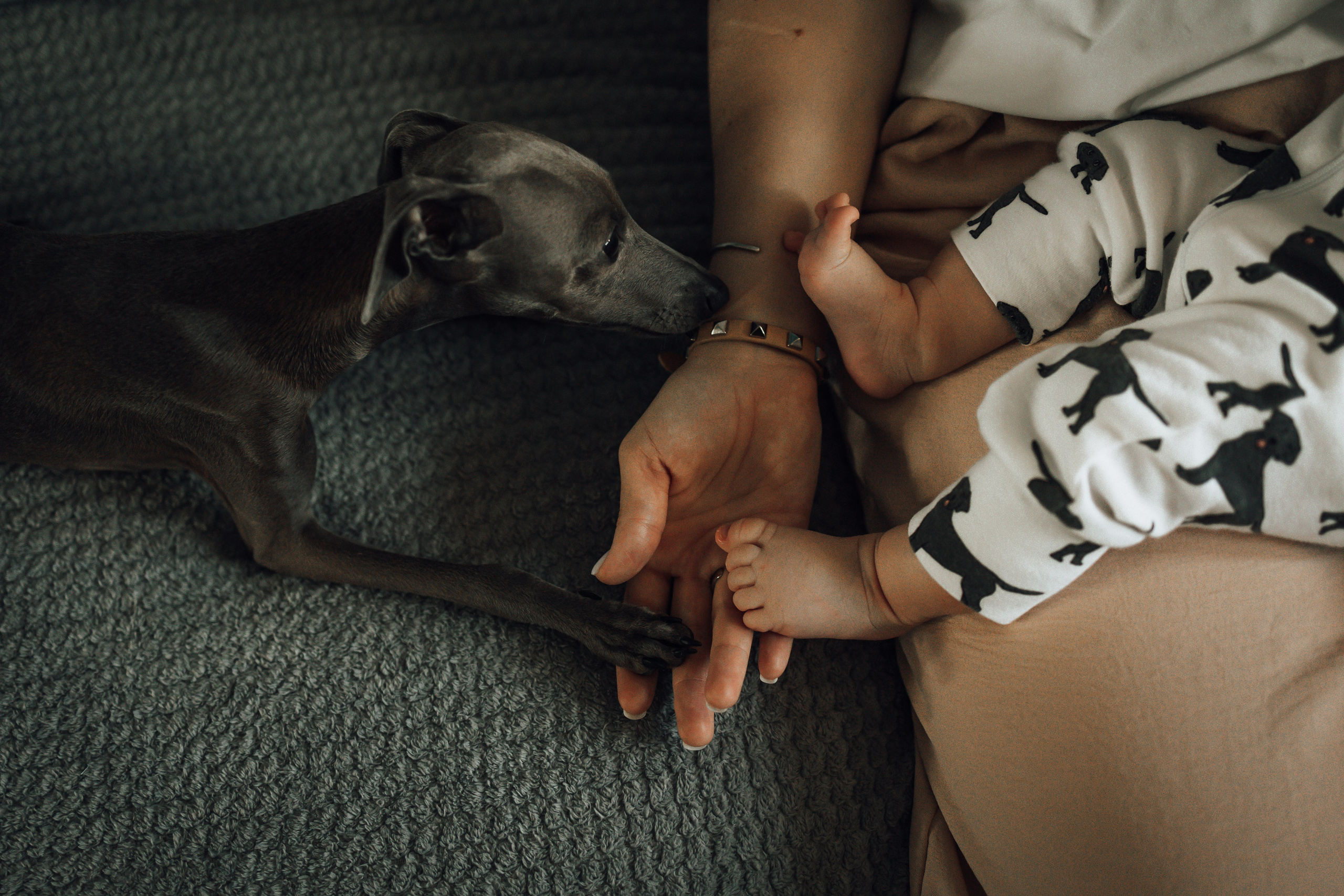 Домашняя история. Семейный фотограф Москва Юлиана Фетисова