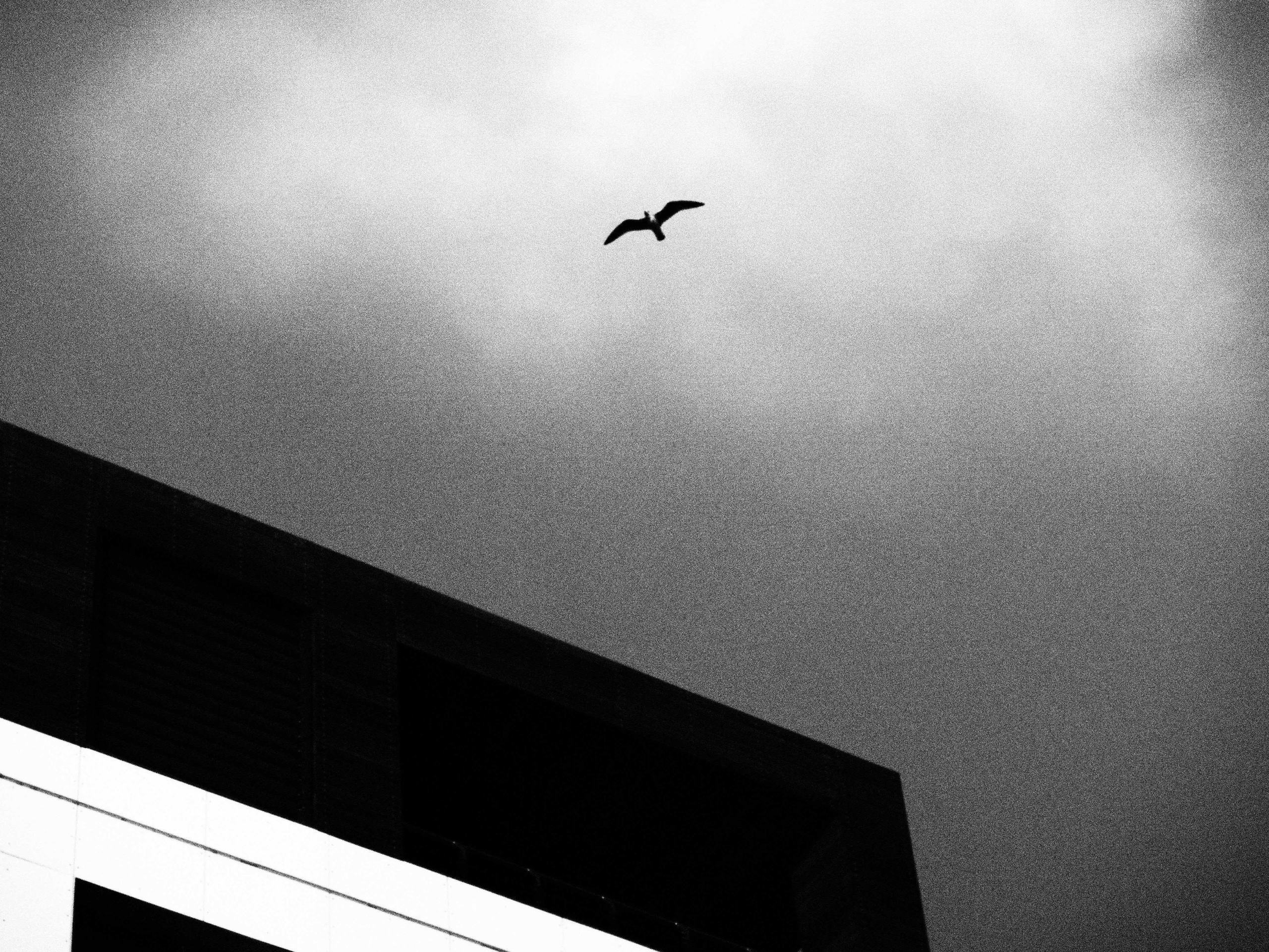 Зимние воспоминания о Мысхако ч/б. Репортажный фотограф в Берлине Александра Герман