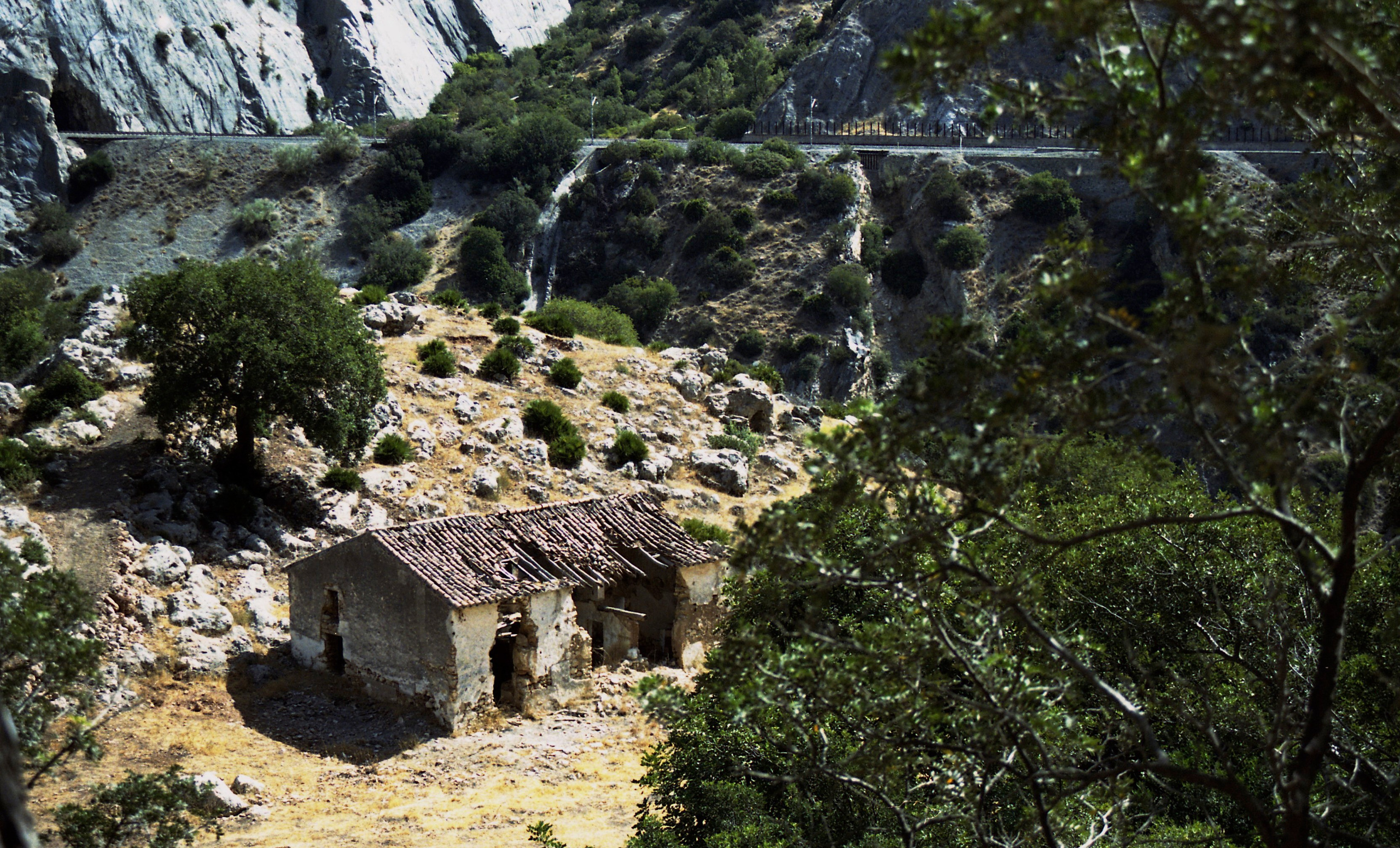 Испания, Андалусия. Елена Никитина. Фотохудожник. Пленочная фотография. Принты