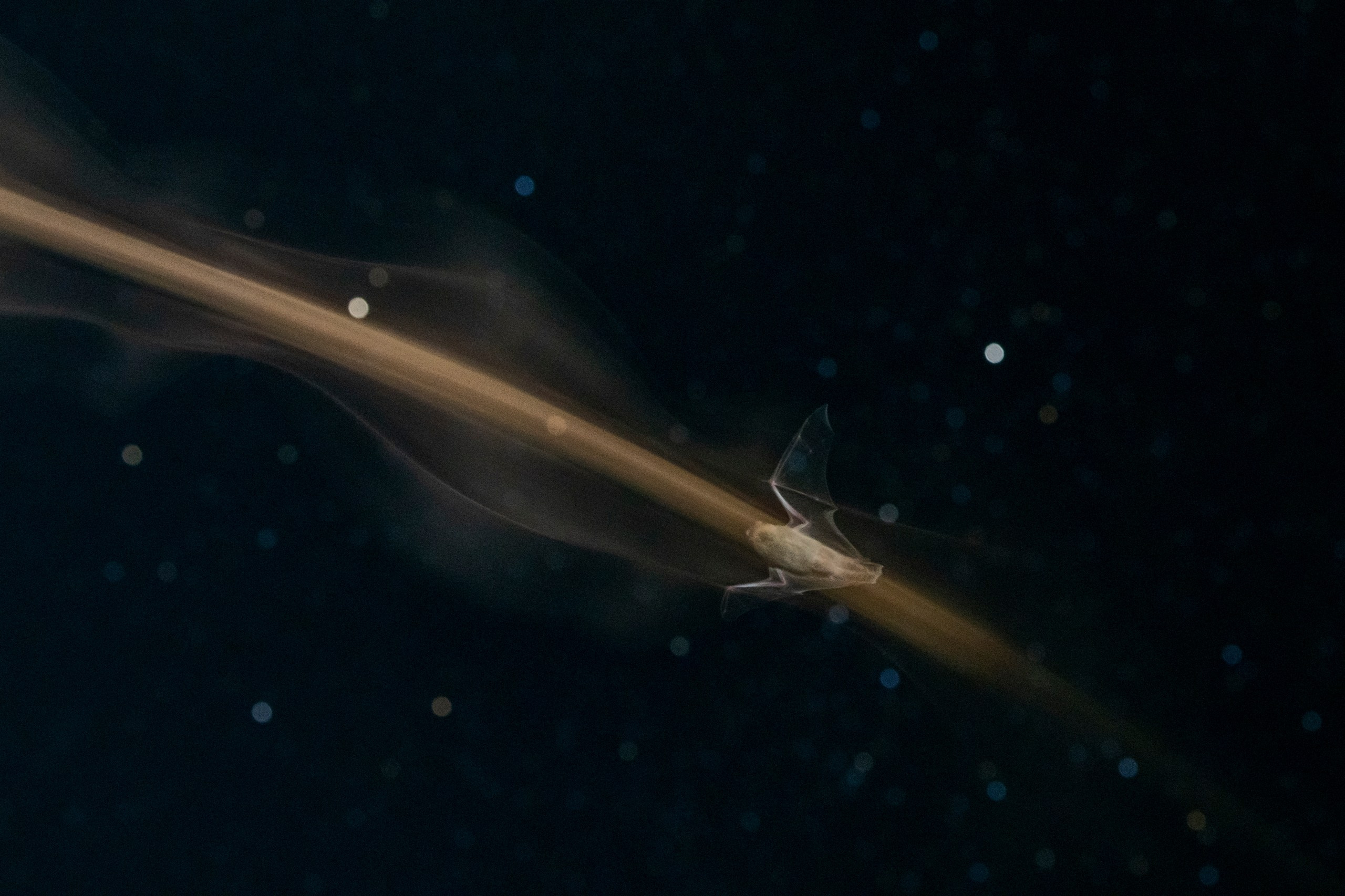 Природа Дагестана, сентябрь 2024. Foto-Zuev фотография как искусство