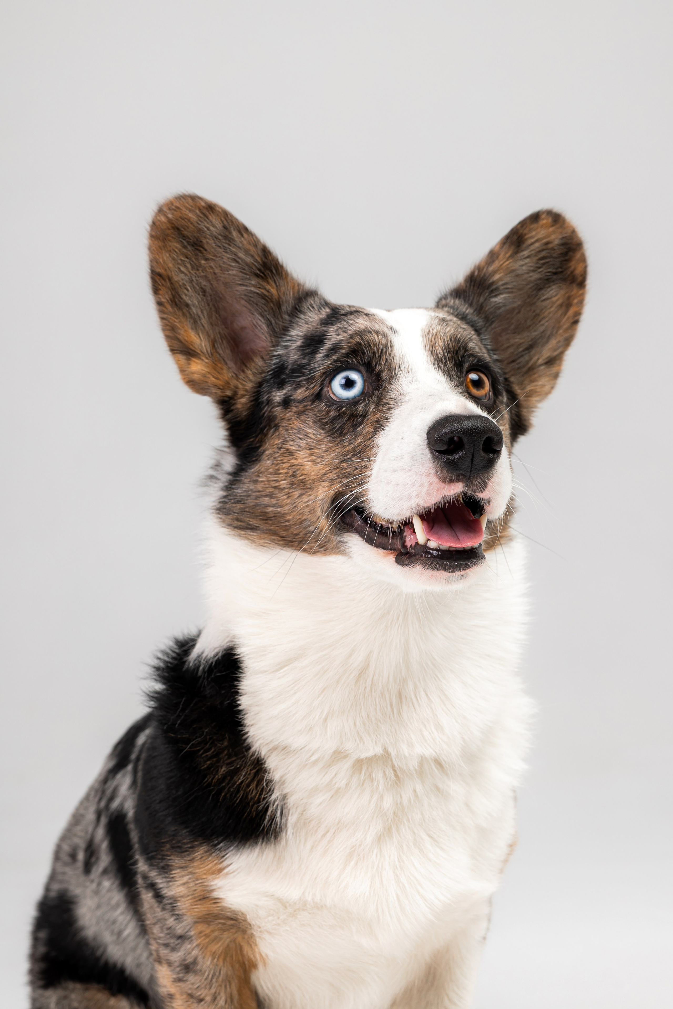 Анатолий и Рагнар