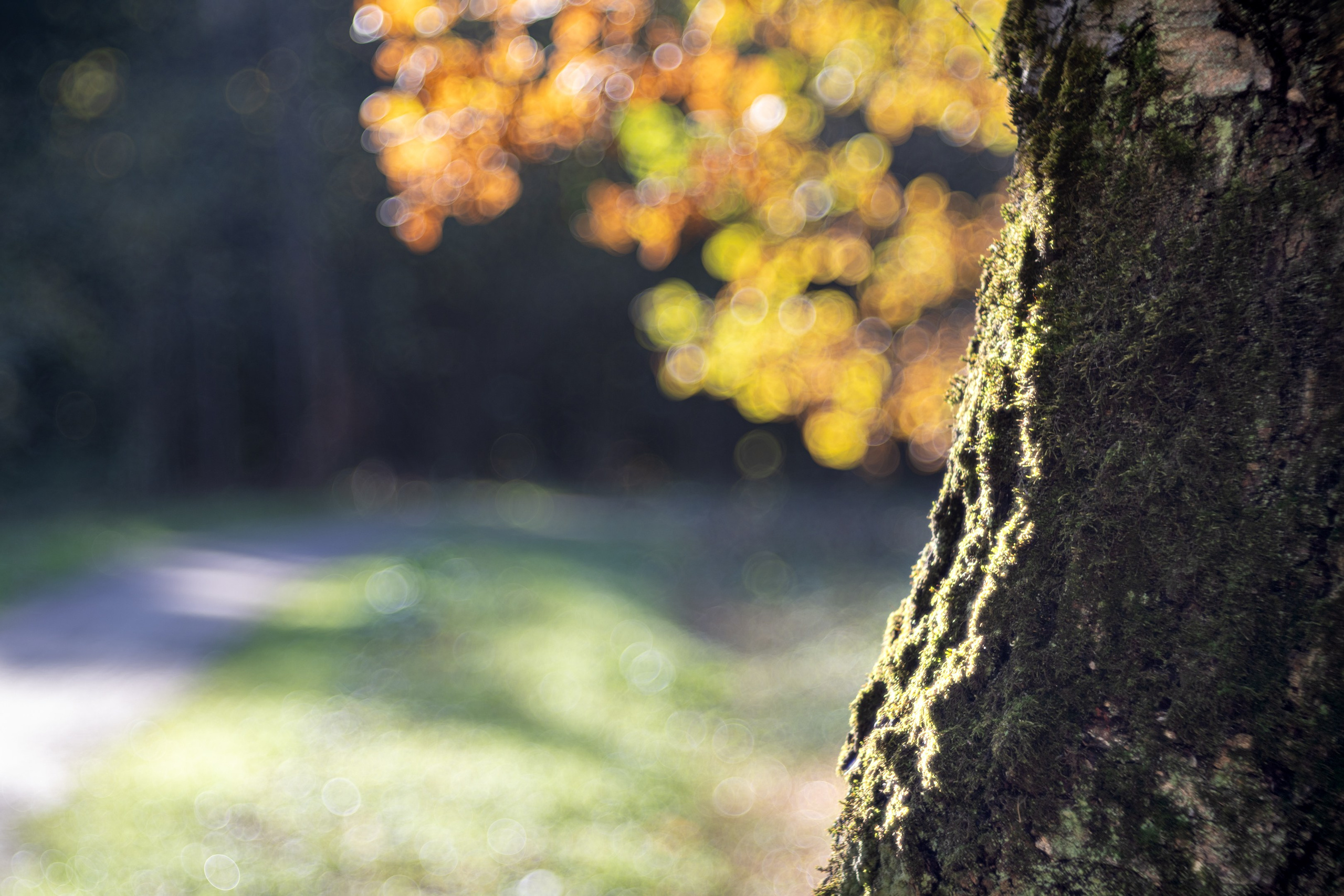 ПЕРЕДЕЛКИНО. ПОБУДЬ ЗДЕСЬ И ЦЕЛЕЕ БУДЕТ ЭТОТ МИР