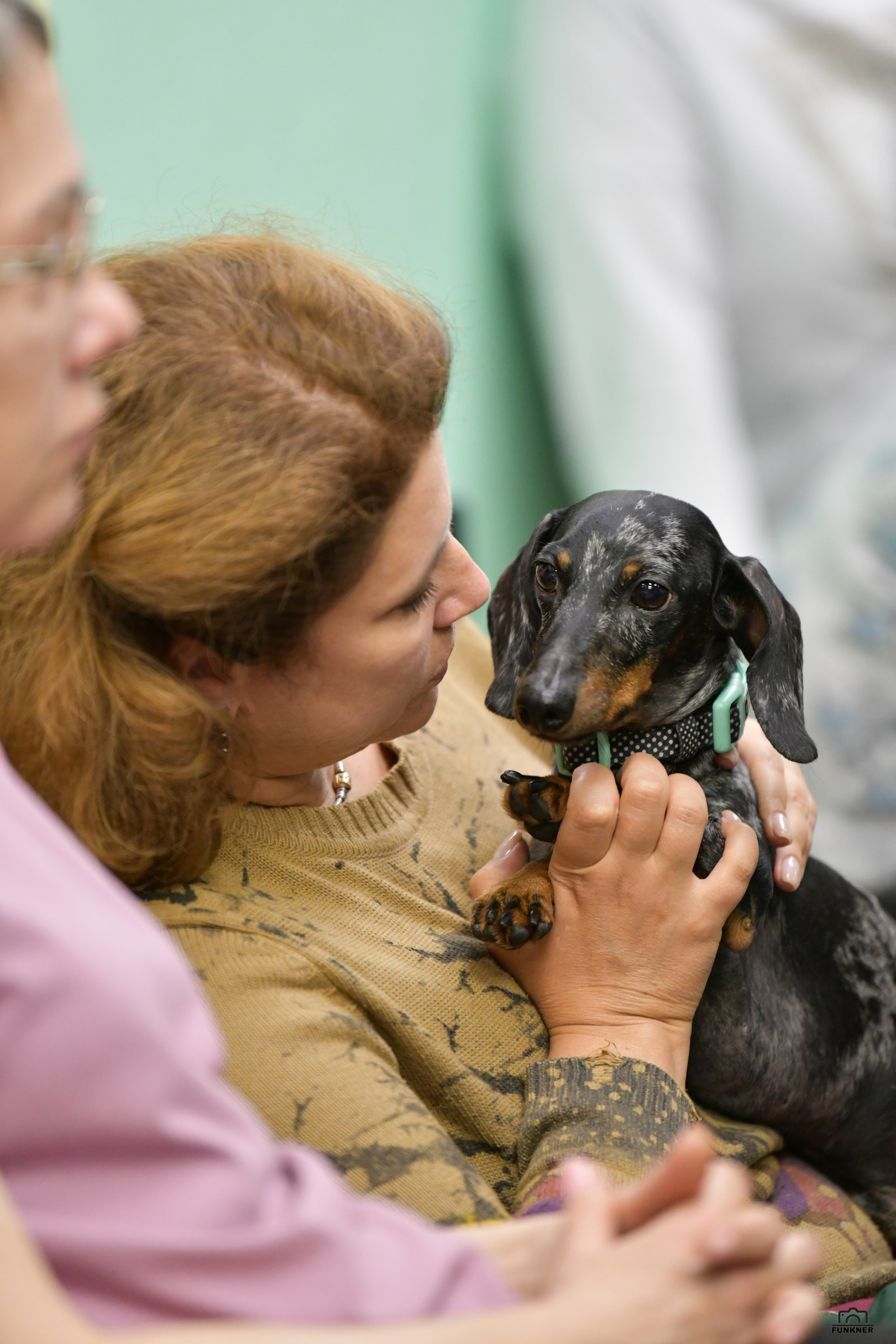 Кинологический клуб «Бодрый хвост». Свой взгляд через объектив