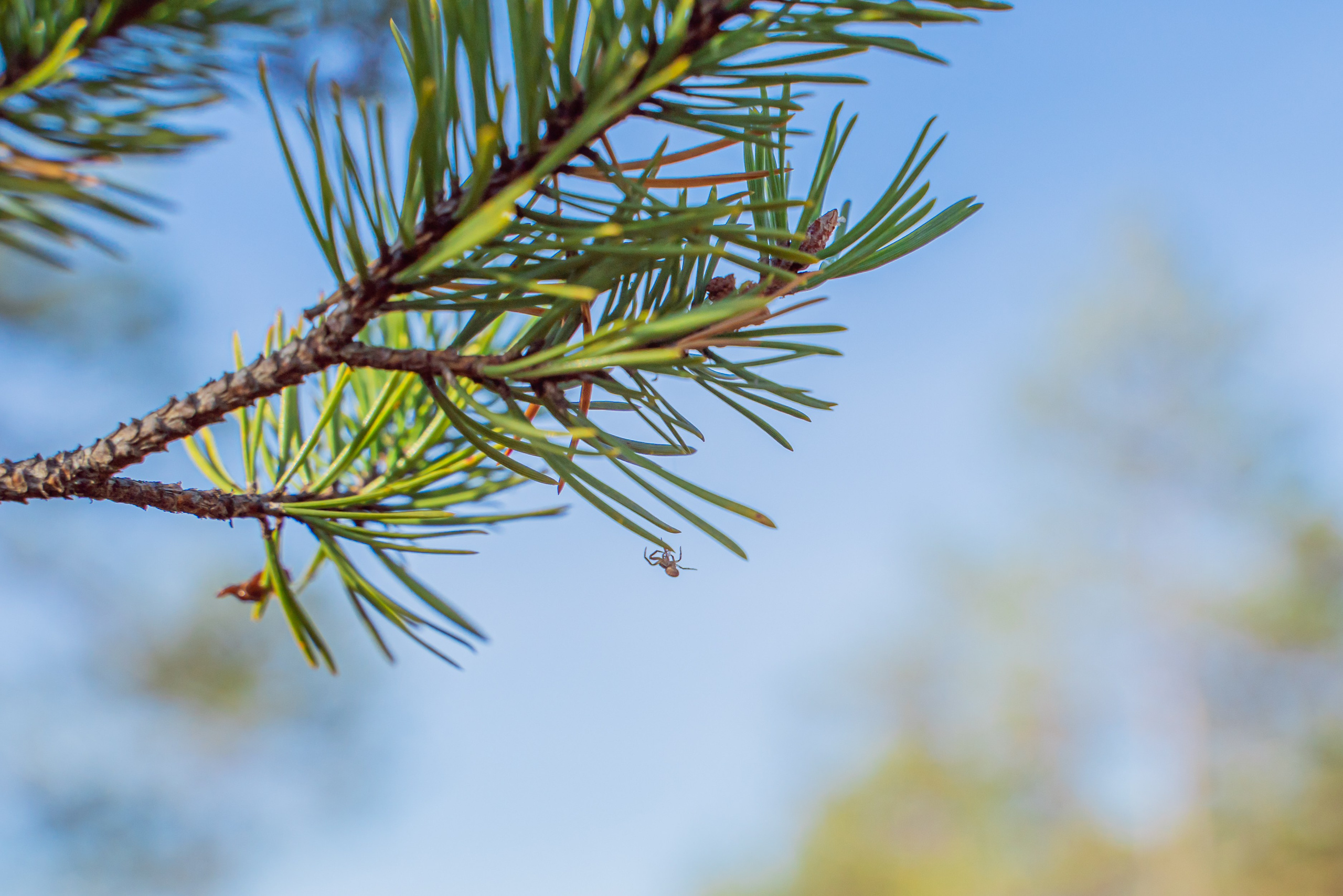 Спортивный репортажный фотограф Санкт-Петербург. Свадебный, семейный, портретный, репортажный фотограф в Санкт-Петербурге