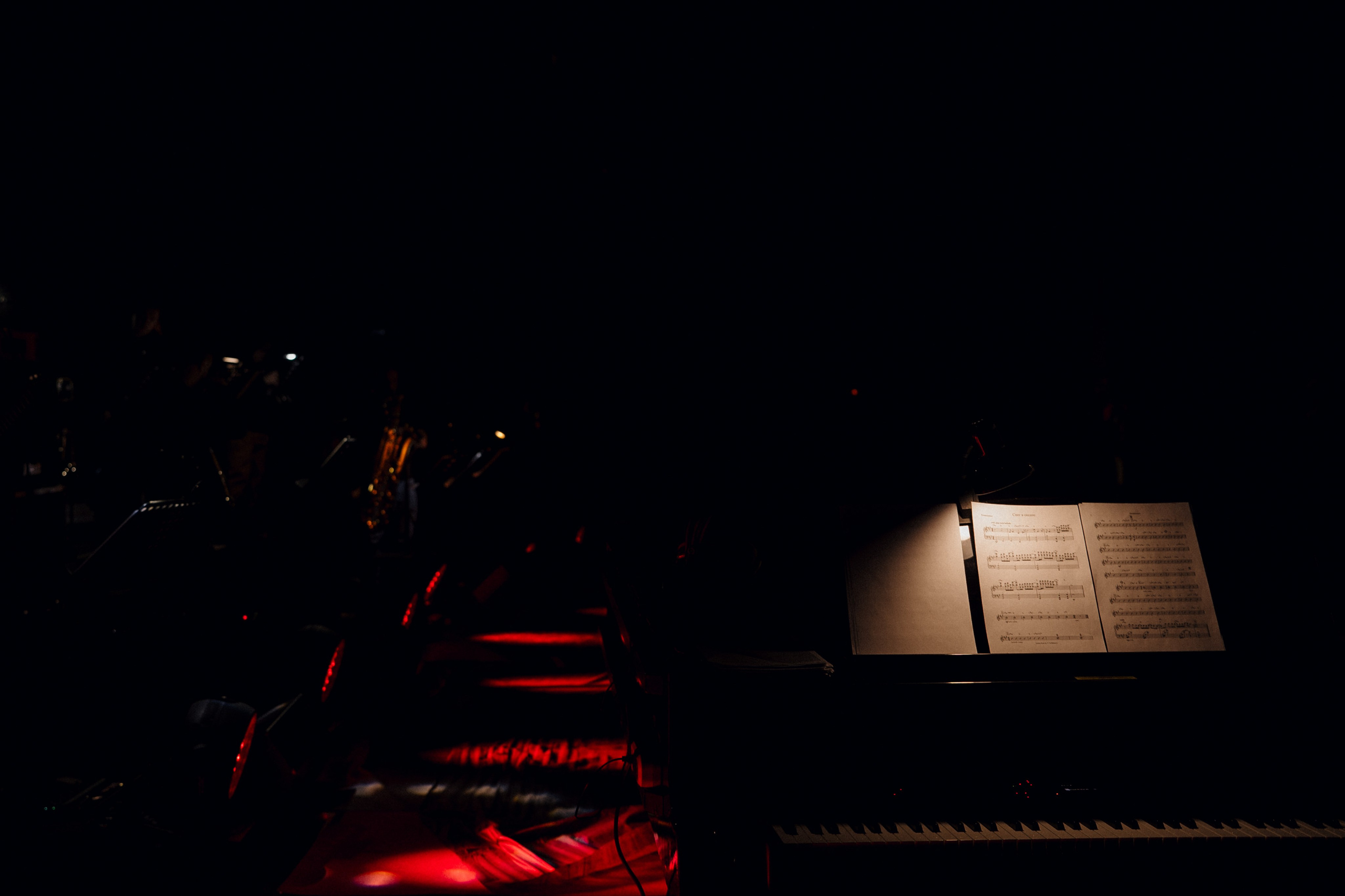 Концерт «ТИТРЫ»: Рита Ричи и оркестр Ильи Филиппова 15.02.25. Свадебный фотограф в Краснодаре и Сочи Винидиктова Екатерина