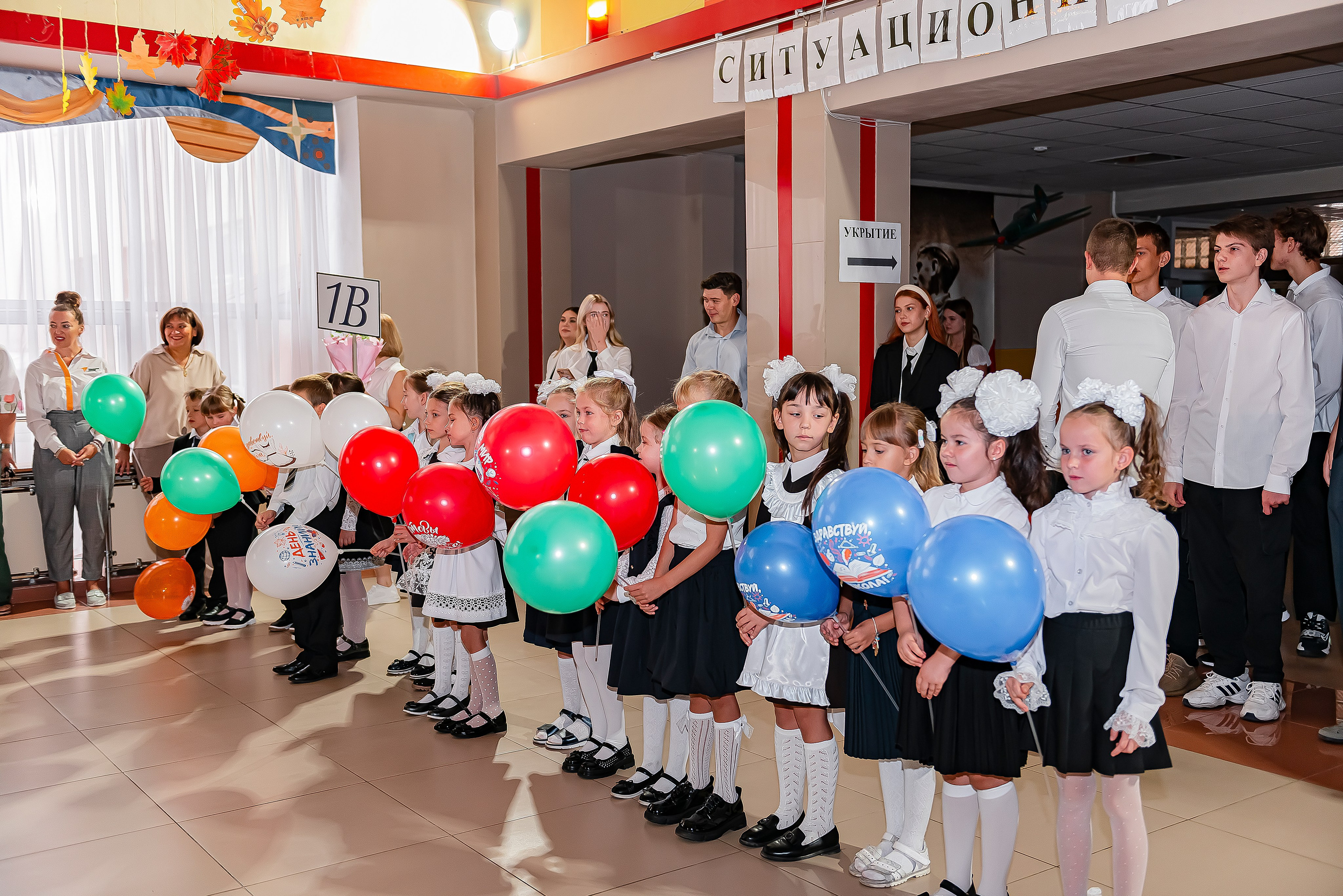 1 «В» | Гимназия № 3| г. Белгород |2024. ALBUMIA