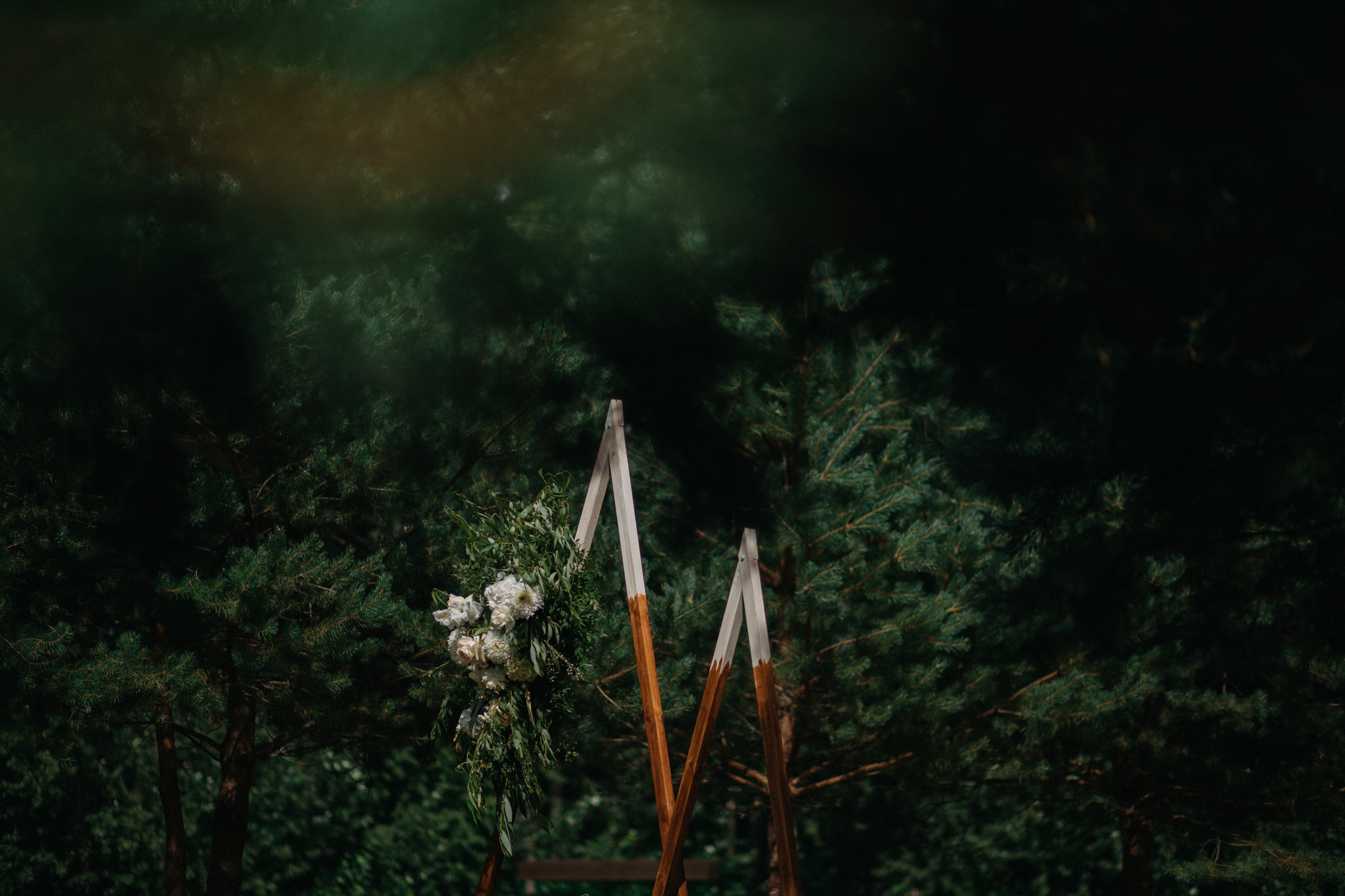 Погос и Алена. Свадебный фотограф в Ярославле Андрей Перегудов