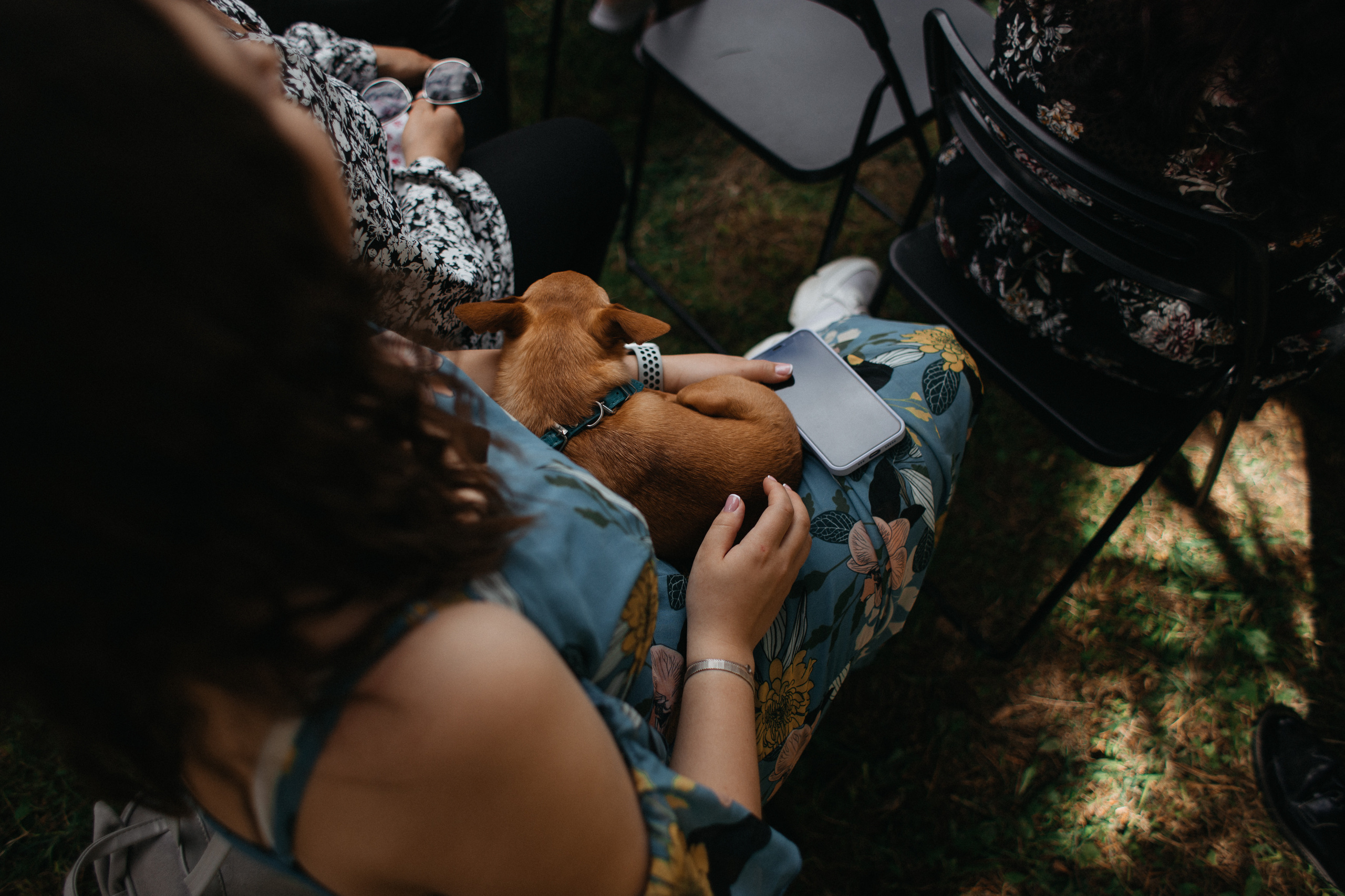 Погос и Алена. Свадебный фотограф в Ярославле Андрей Перегудов