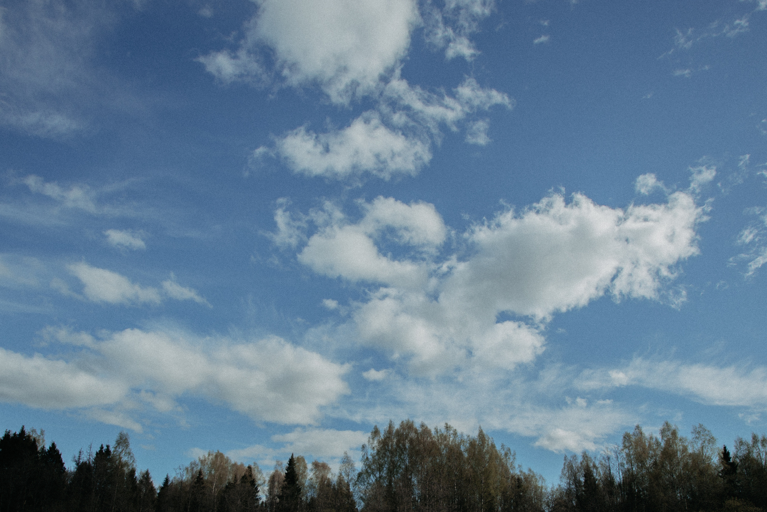 Костя и Лера. Свадебный фотограф в Ярославле Андрей Перегудов