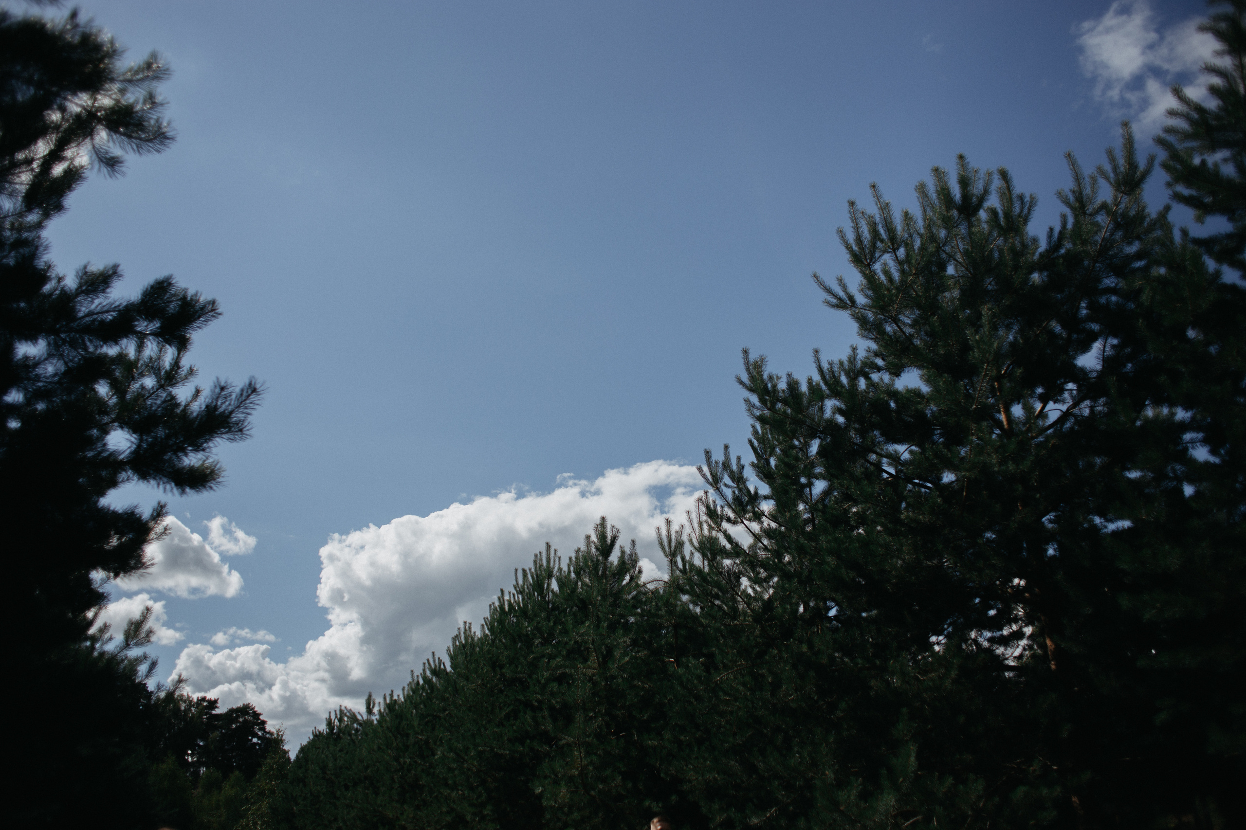 Погос и Алена. Свадебный фотограф в Ярославле Андрей Перегудов