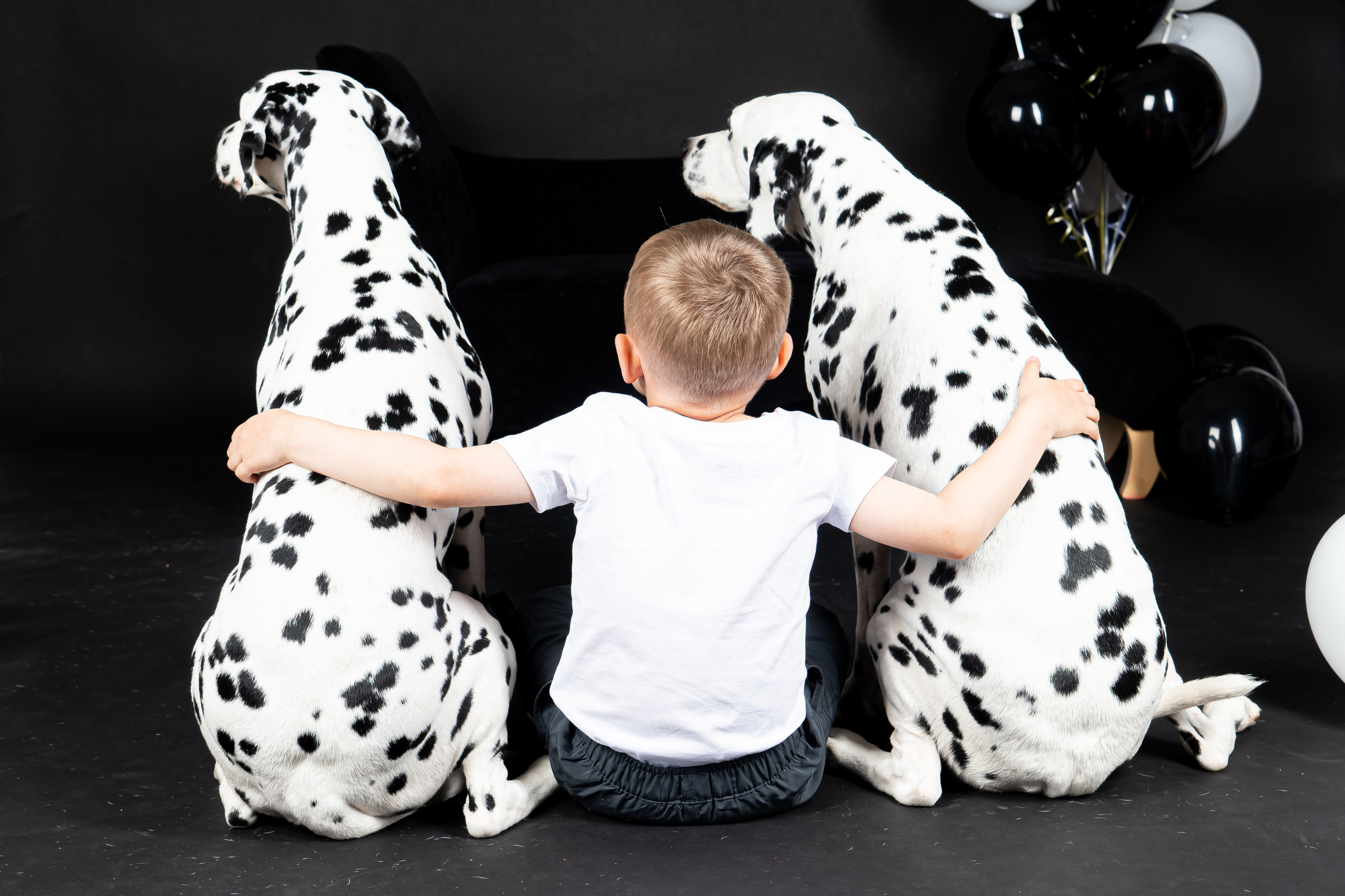 Далматины 2024. Фотограф на Камчатке Анна Моргачёва. Семейные и детские съёмки