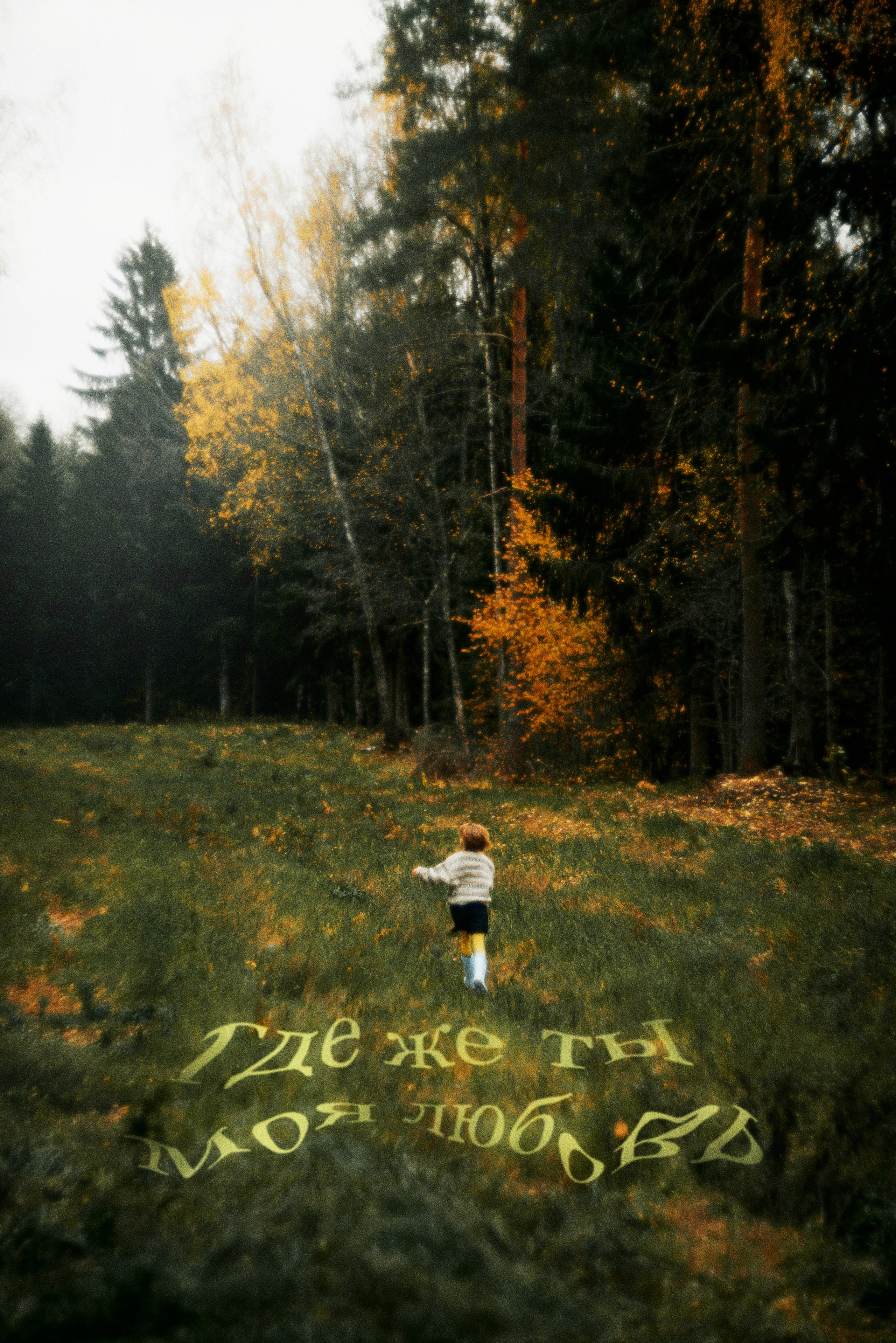 Красота в Прудиках. Антон Арнольд | Фотограф Минск