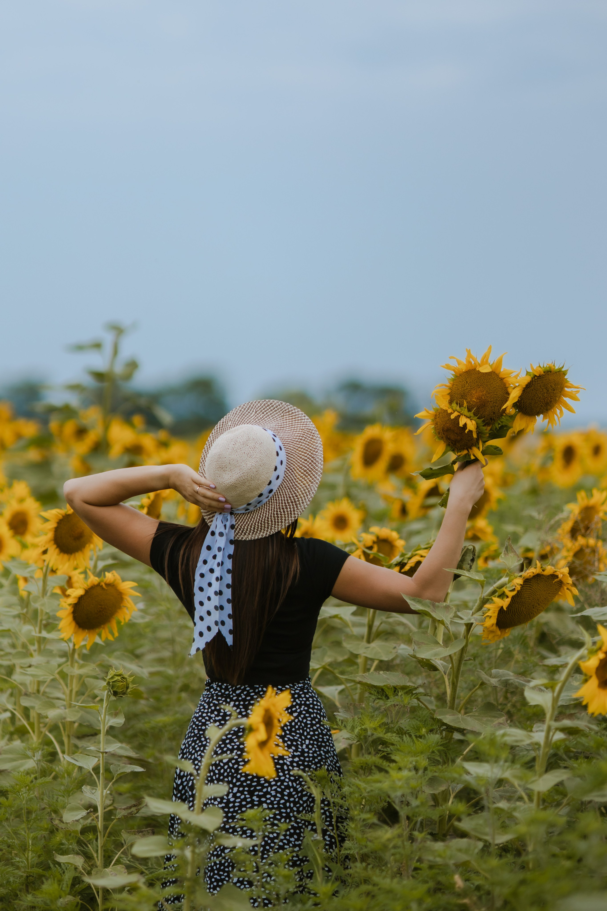 Осень. Профессиональный фотограф и видеооператор