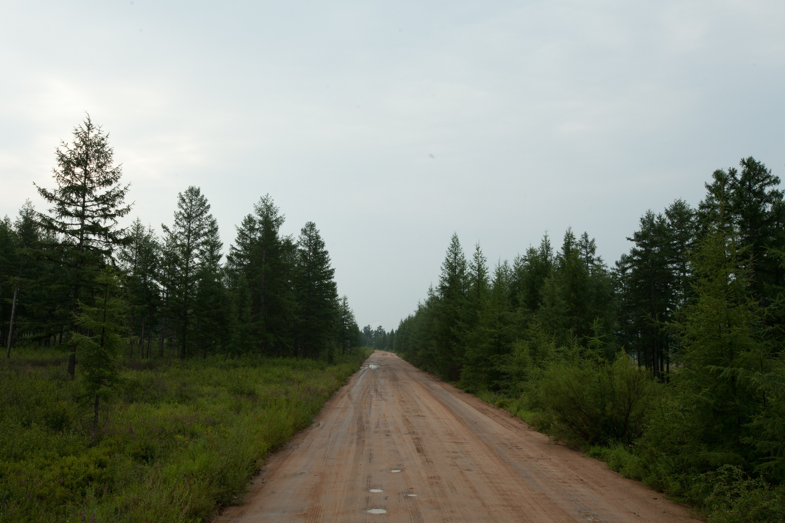 Фото Природы Забайкалья. Студия Максима Белослюдцева