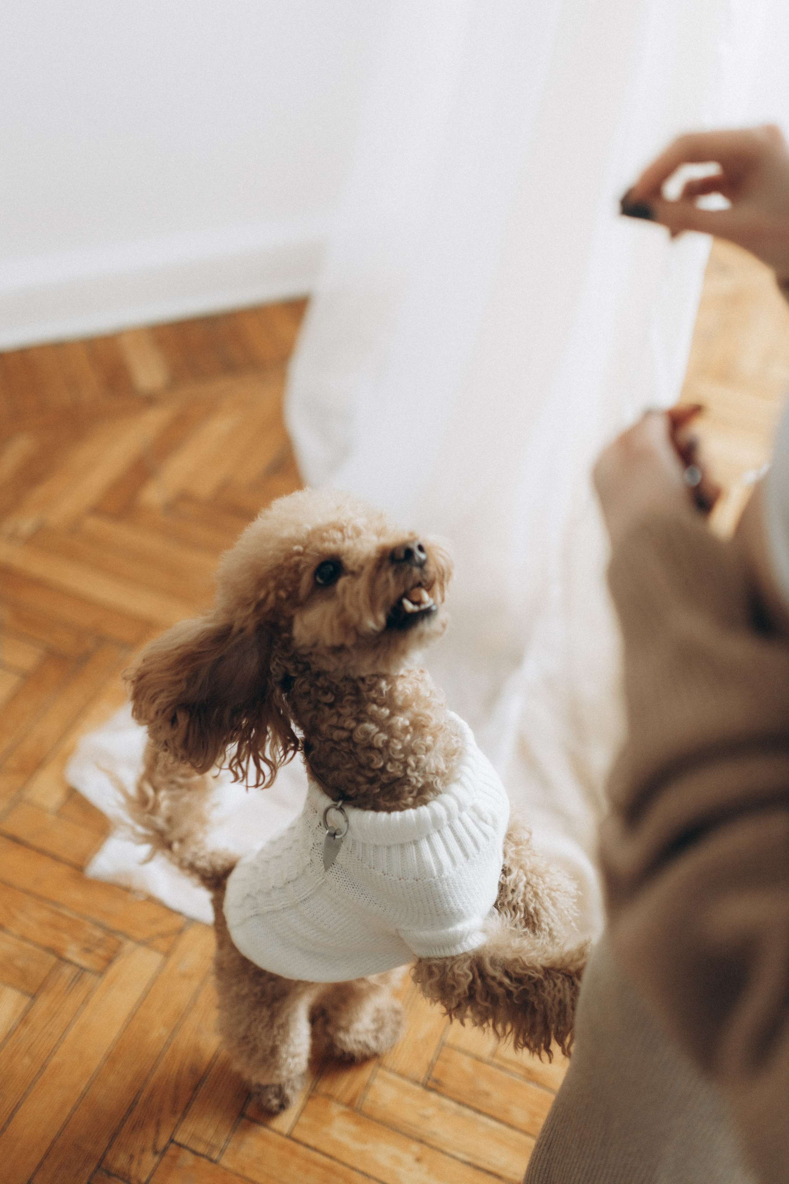 Маша, Ваня & Барни. Фотограф НОГИНСК, Москва, Анастасия Белая