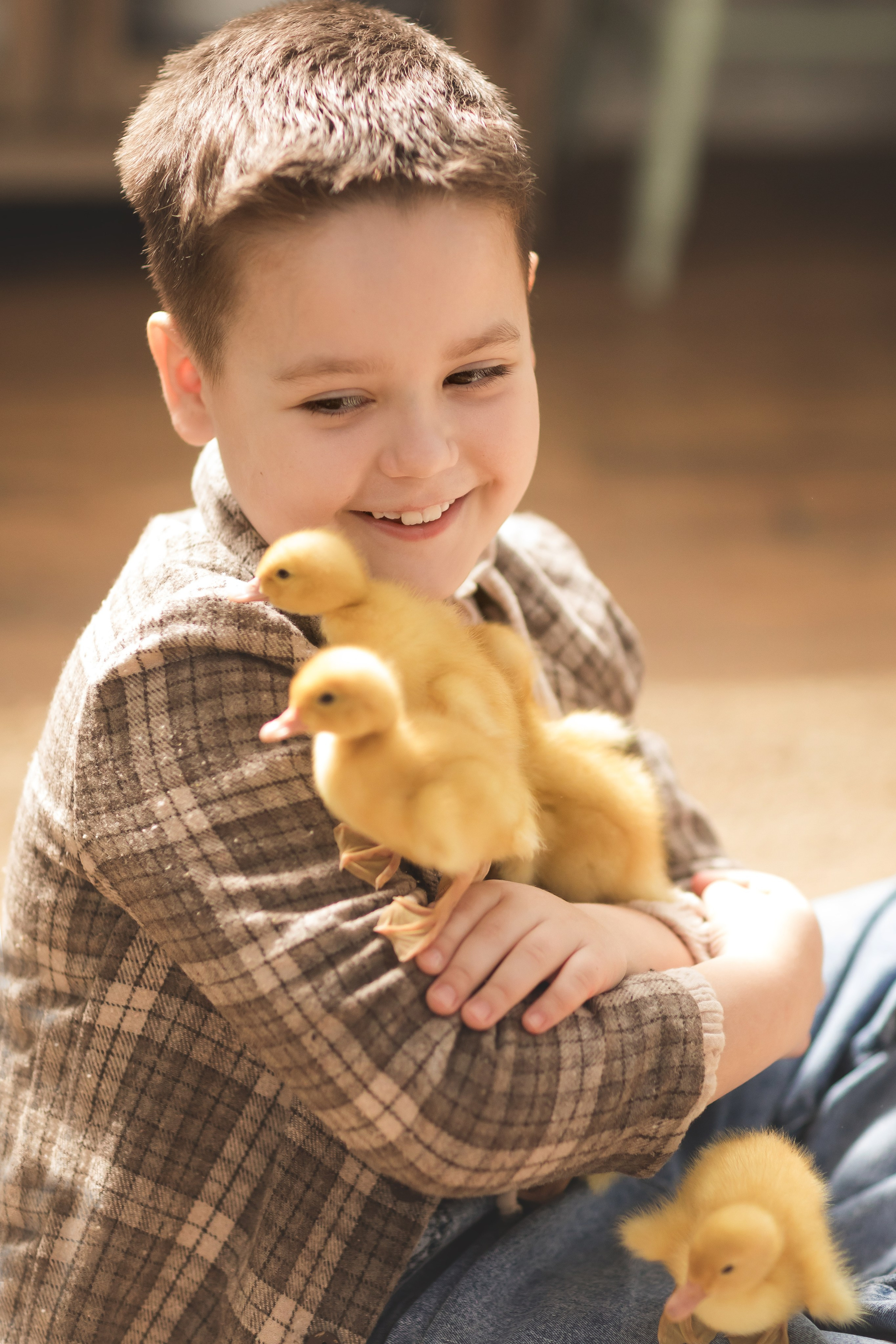 Пасха с животными (3,4 апреля). Семейный и детский фотограф Краснодар Валерия Власенко