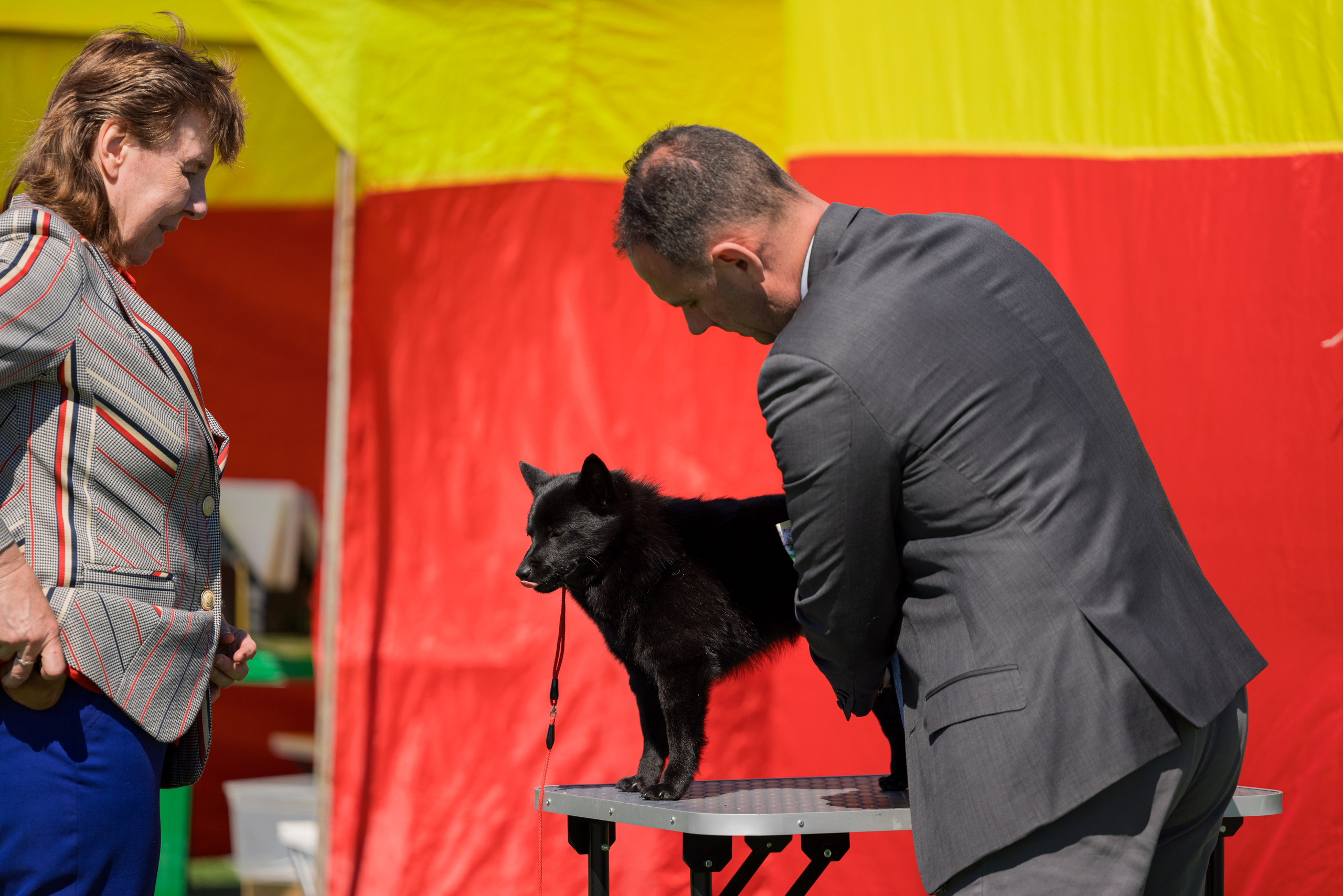 Суздаль 18-19.05.2024. Фотограф-анималист Юлия Германика