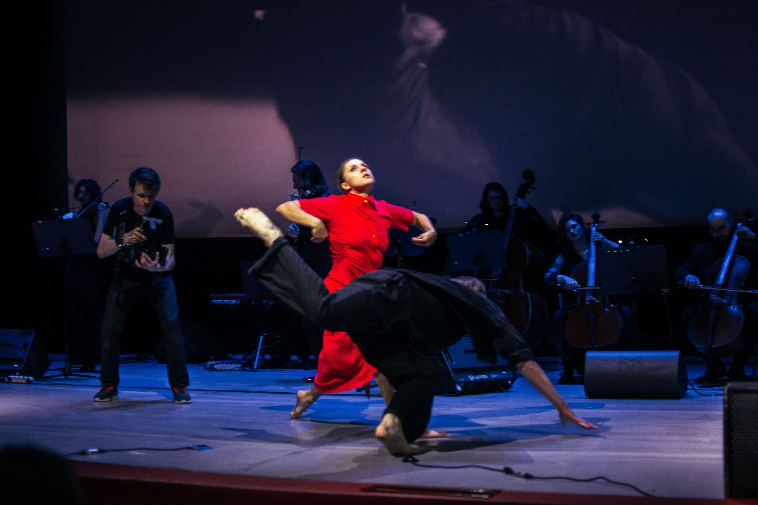 Концерт оркестра Cinematica. Репортажный фотограф в Новосибирске