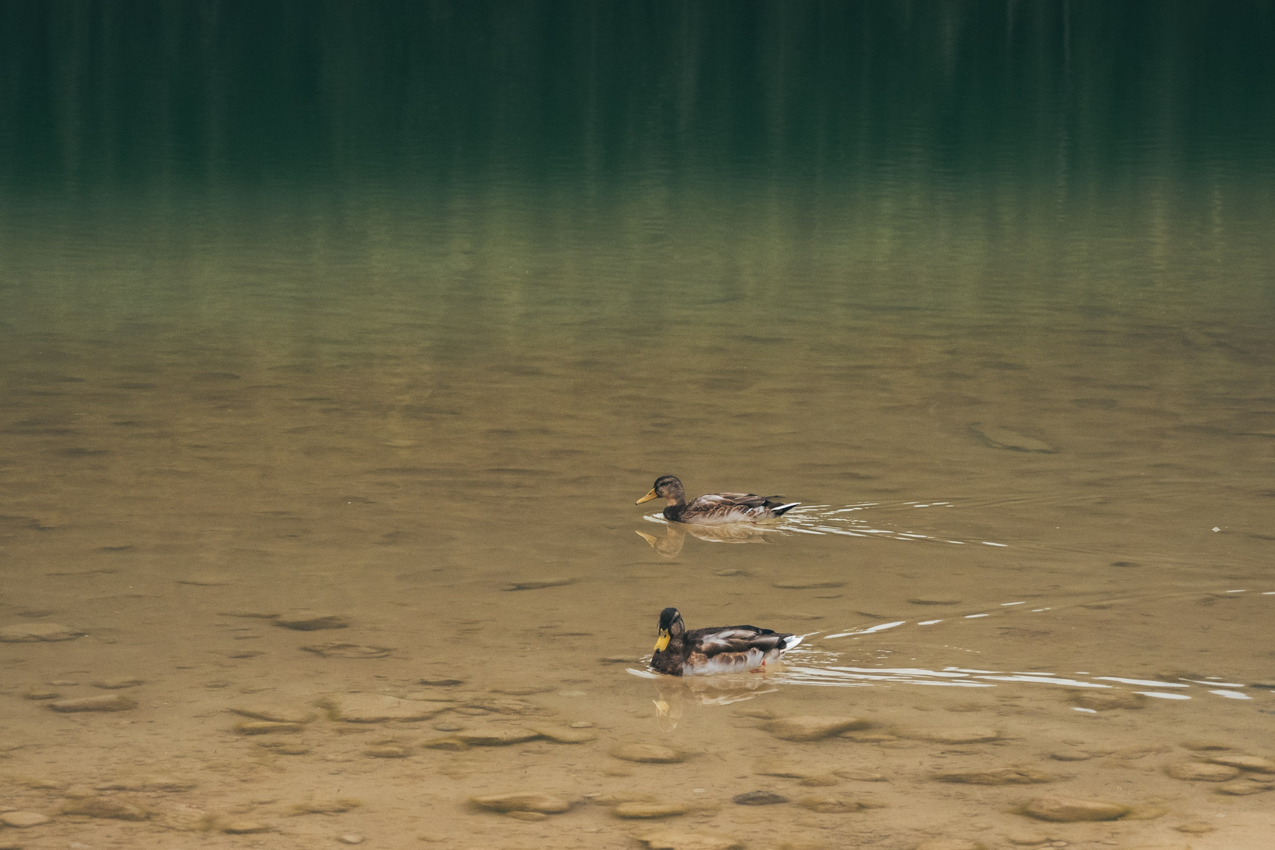 ДУРМИТОР. ЧЕРНОЕ ОЗЕРО. Фотограф в Белграде Чугреева Елена