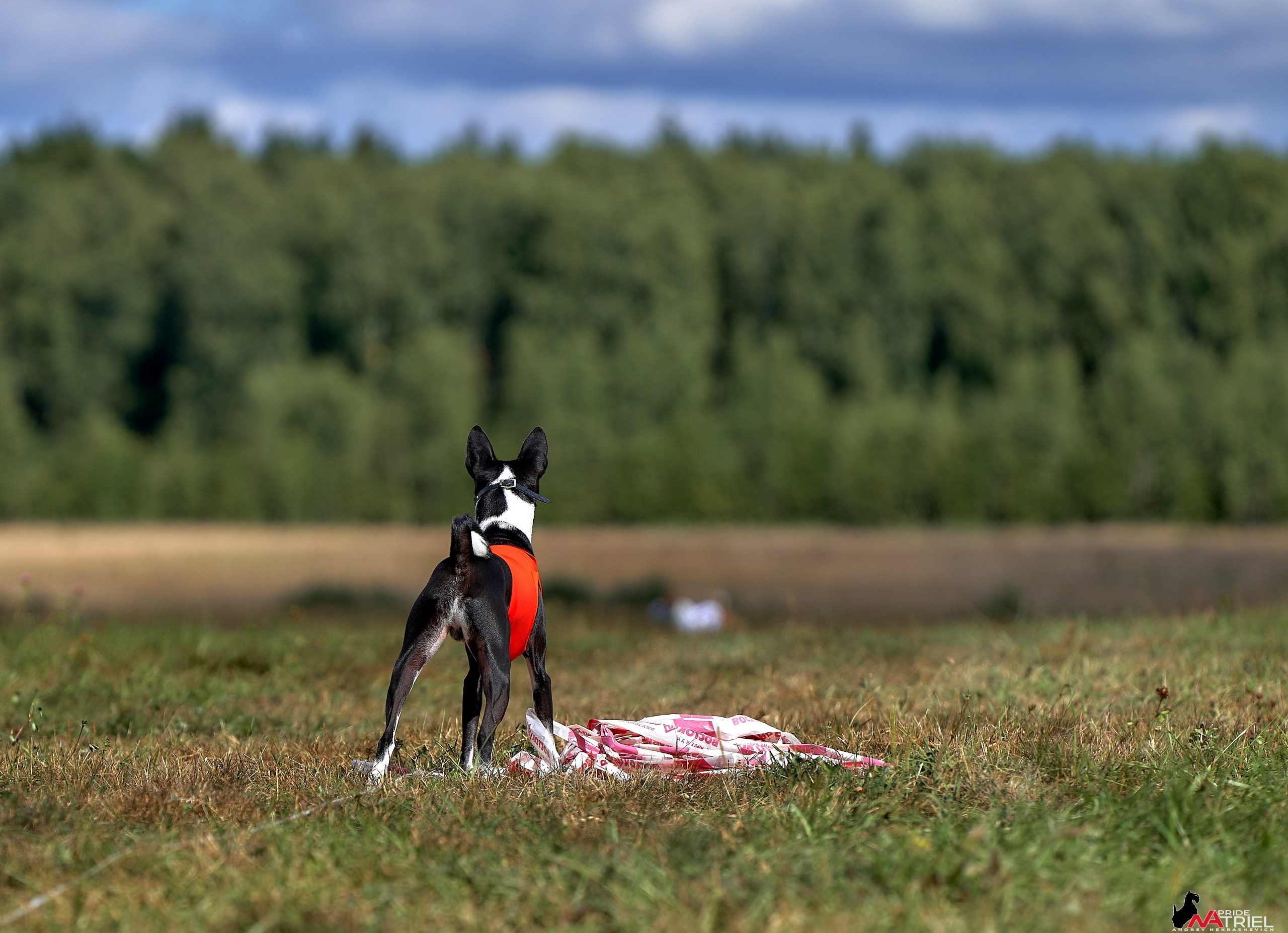 Съемка курсинг — галерея NATRIEL