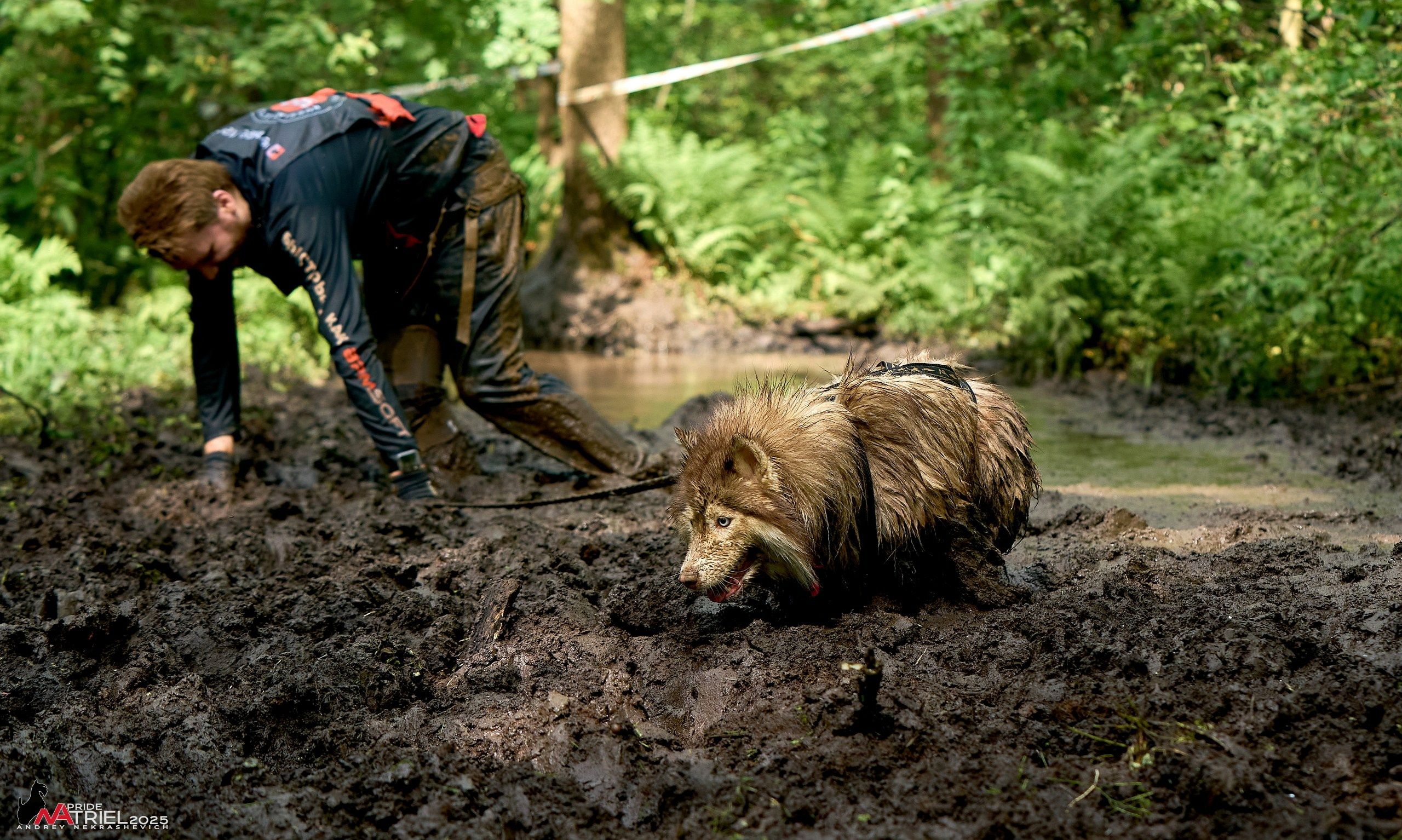 Russian Extreme Dog Trail — 2025