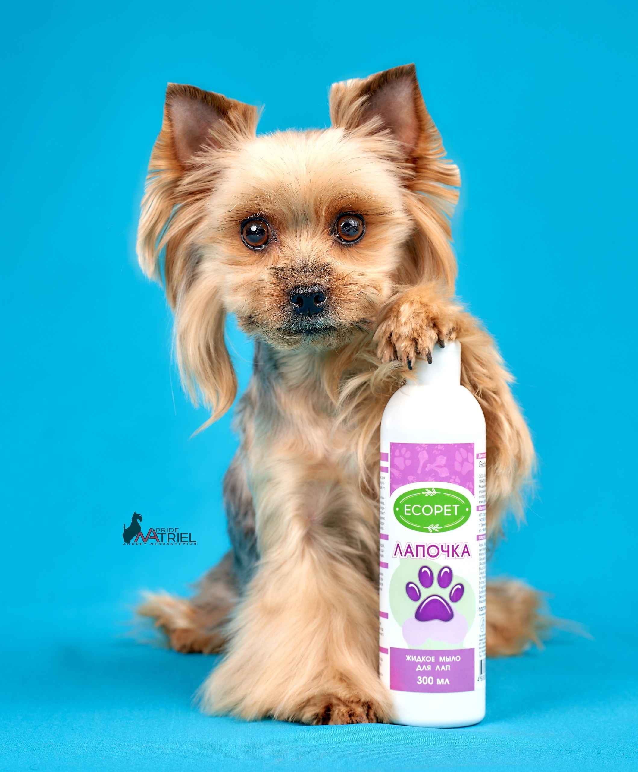 Реклама с животными — галерея NATRIEL