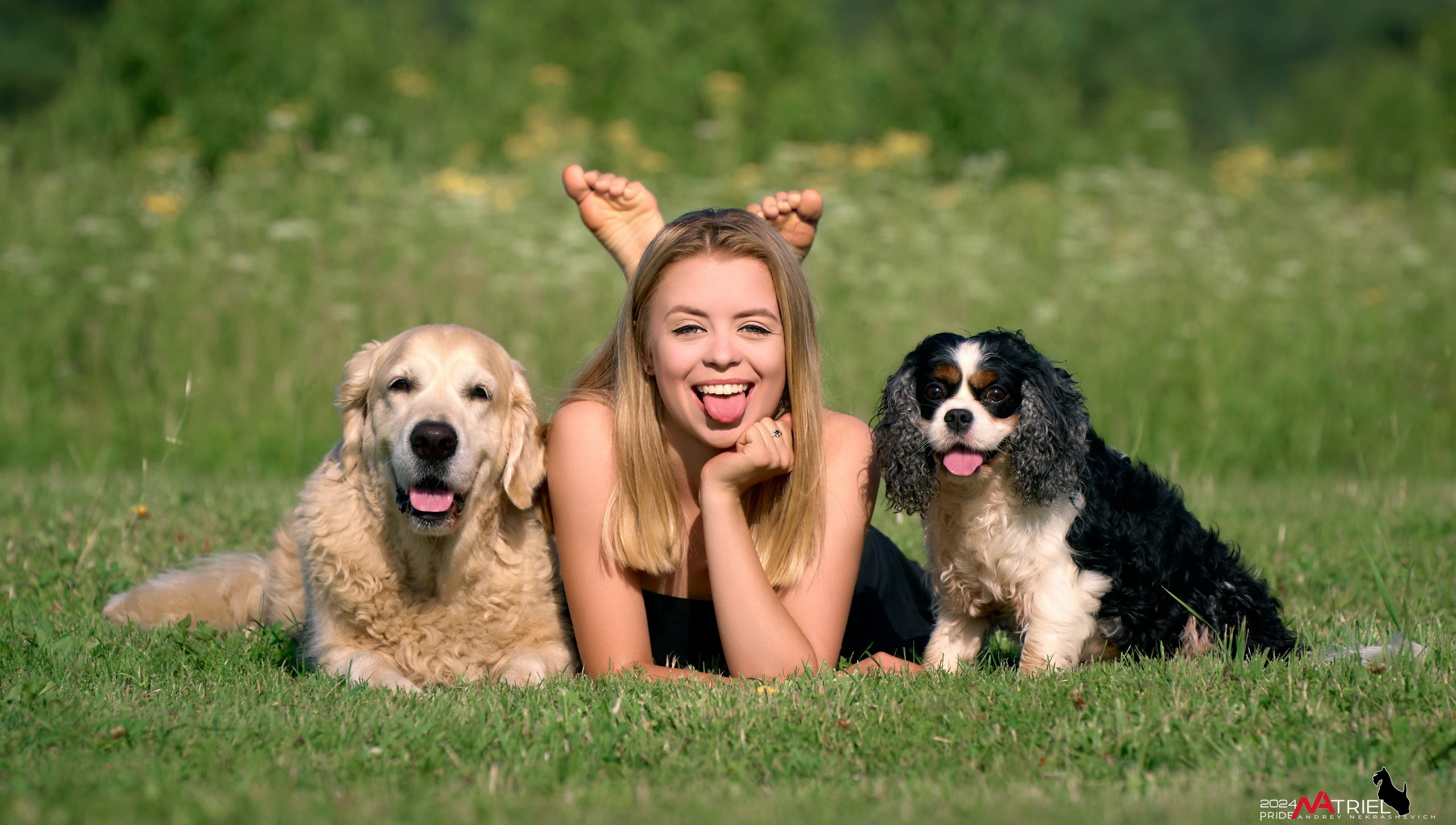 Репортаж из кинологического лагеря