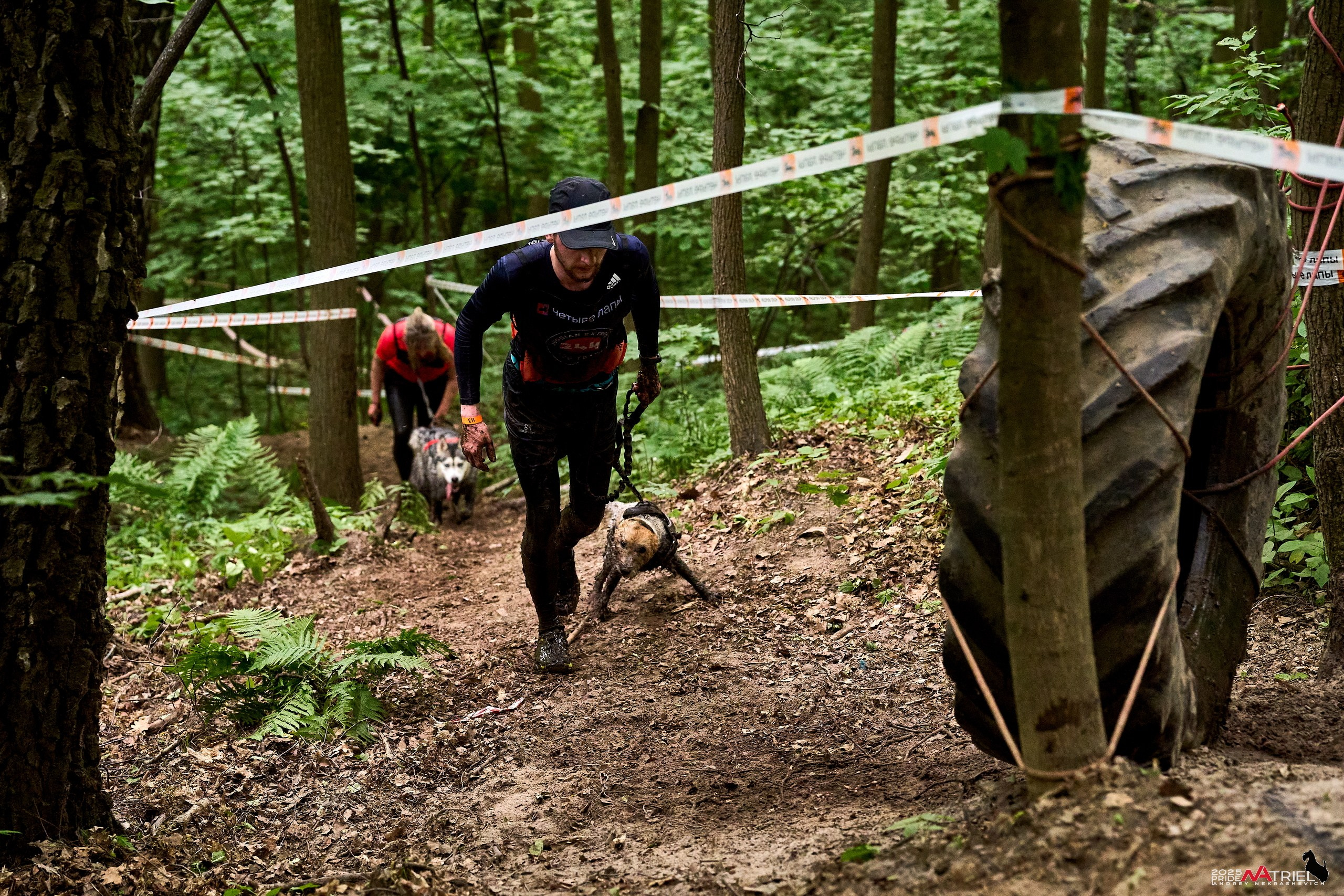 Russian Extreme Dog Trail — 2025